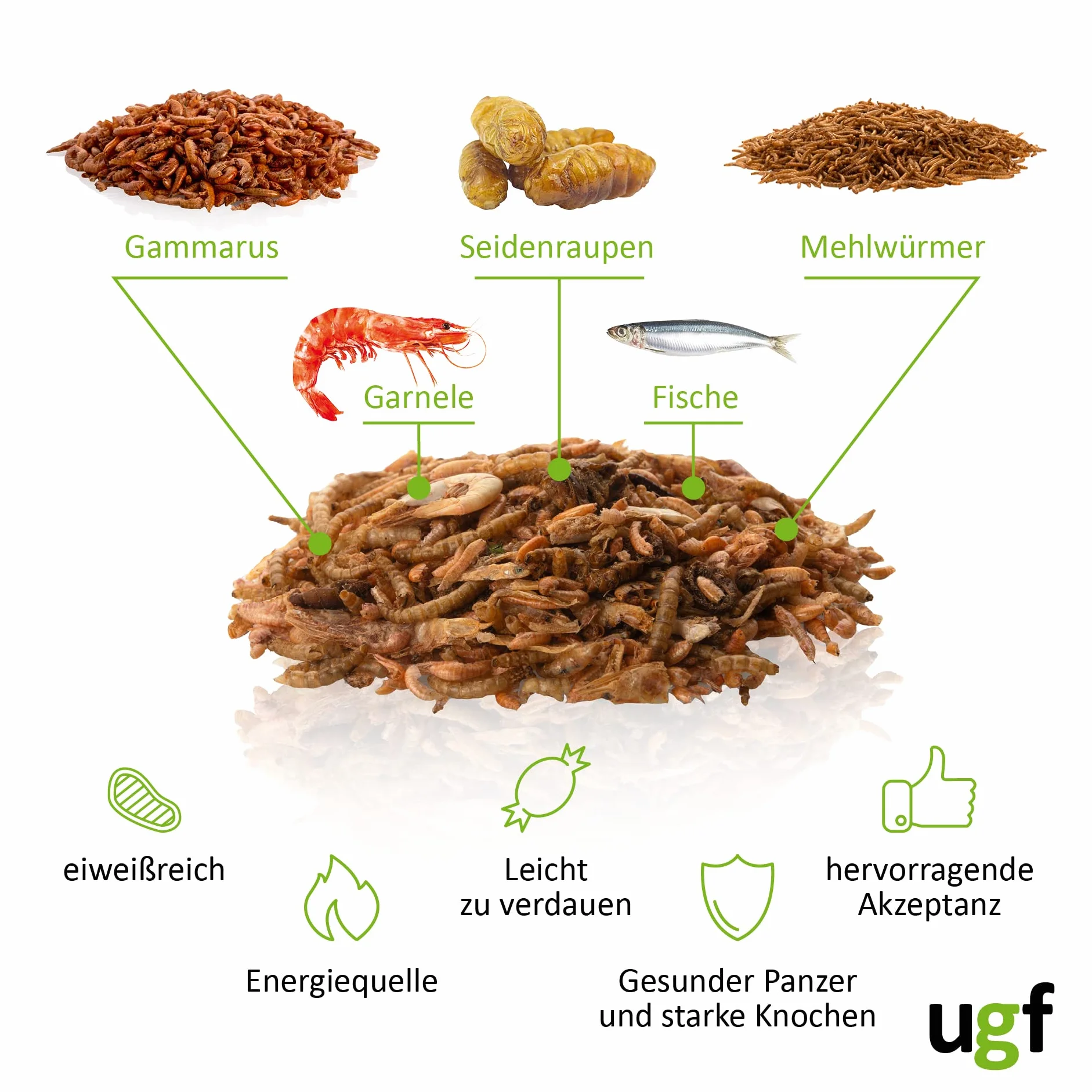 UGF - Mix di Cibo Universale per Tartarughe - 90 g in Un Secchio da 500 ml, Cibo bilanciato per Tartarughe, Gammarus, bachi da Seta, Vermi della Farina, gamberetti e Pesce essiccato