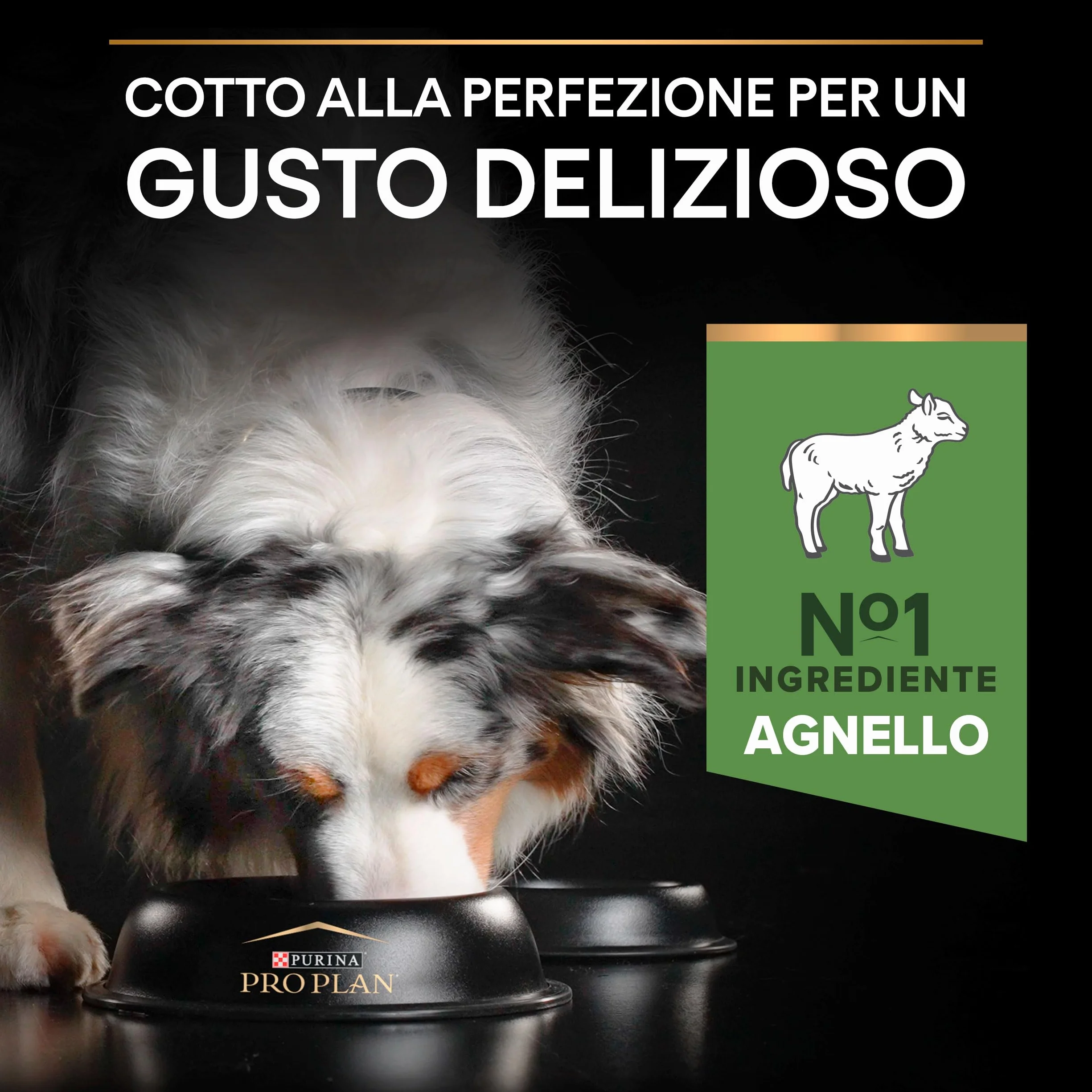 Purina Pro Plan Medium Adult Optidigest Cane Crocchette, 1 Sacco da 14 kg