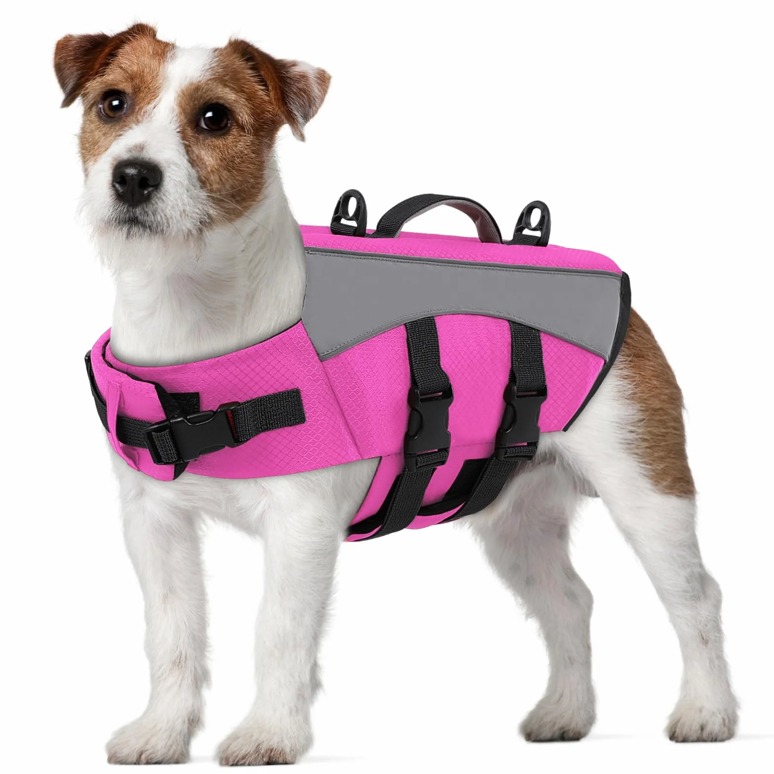 CITÉTOILE Giubbotto Salvagente per Cani - Giacca Galleggiante Riflettente con Maniglia, Galleggianti e Cinture Regolabili per Sicurezza in Acqua, Piscina, Rosa, S