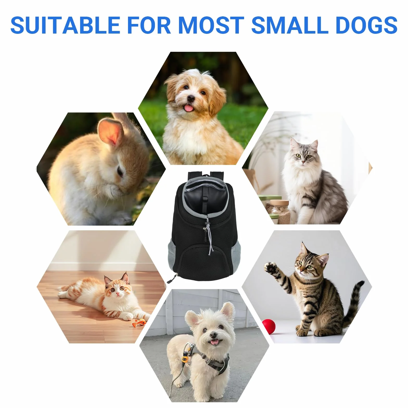 Zaino per Cani e Gatti Regolabile Traspirante 3-7kg Porta Cane con Guinzaglio Sicurezza Apertura Regolabile