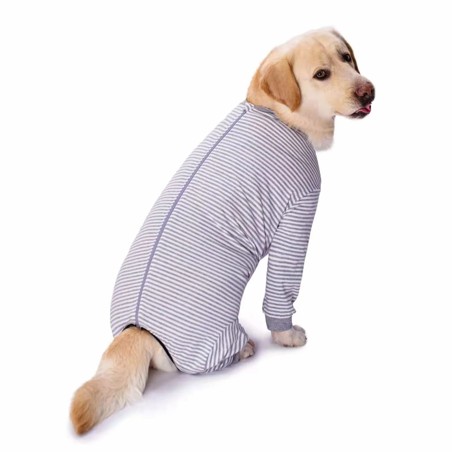 Tutina per Cani di Taglia Grande e Media Anti-Perdita Protezione Ferite 4XL Grigio