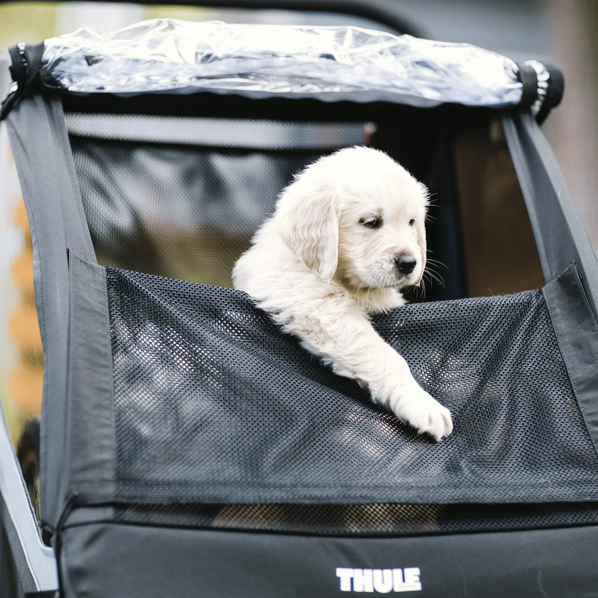 Thule Courier Dog Trailer Kit Rimorchio Cane Black, One-Size