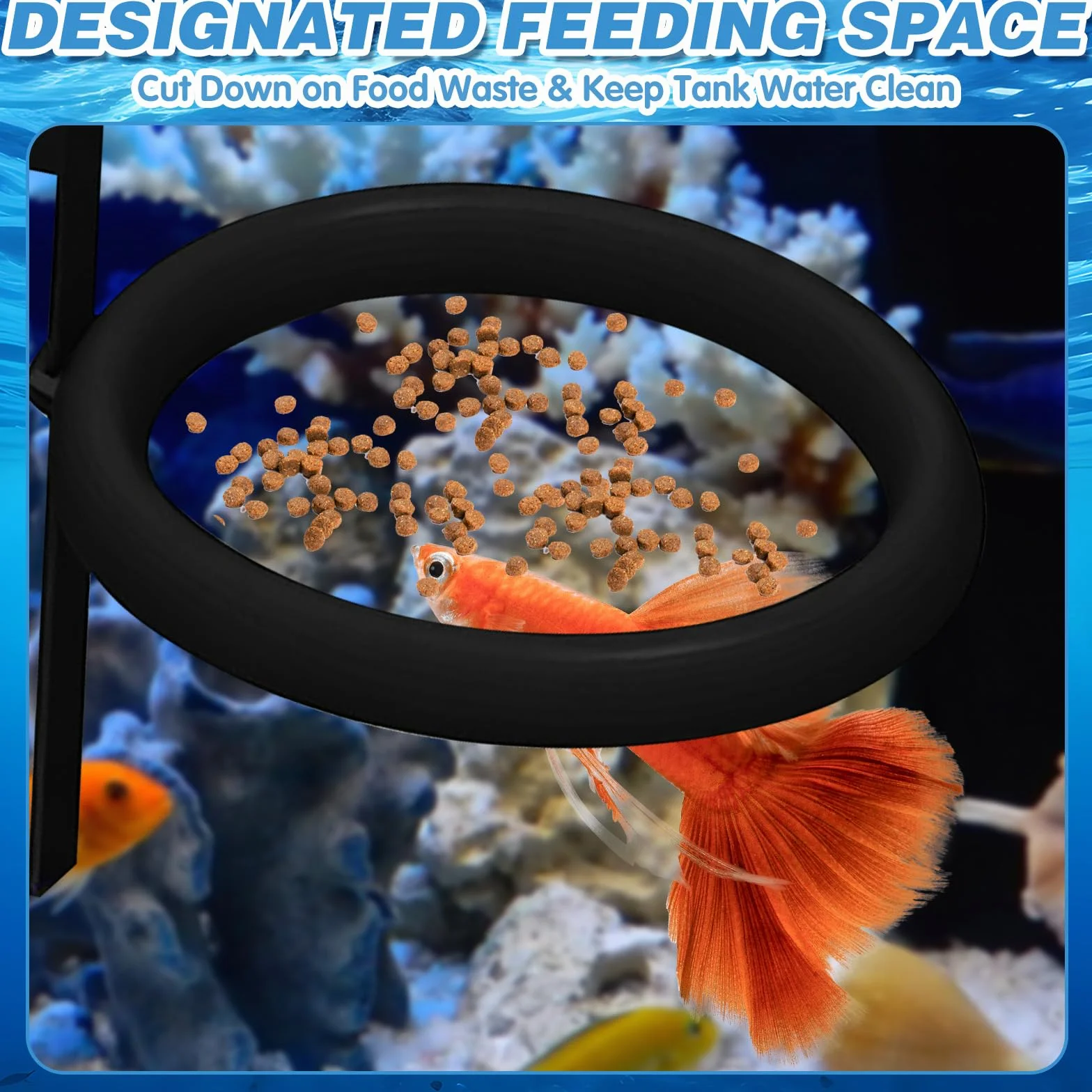 Anello galleggiante per l'alimentazione dei pesci da acquario, con clip di fissaggio, non disperde il cibo, adatto per vetri da 3 a 15 mm, mantiene il cibo galleggiante in posizione, ideale per pesci
