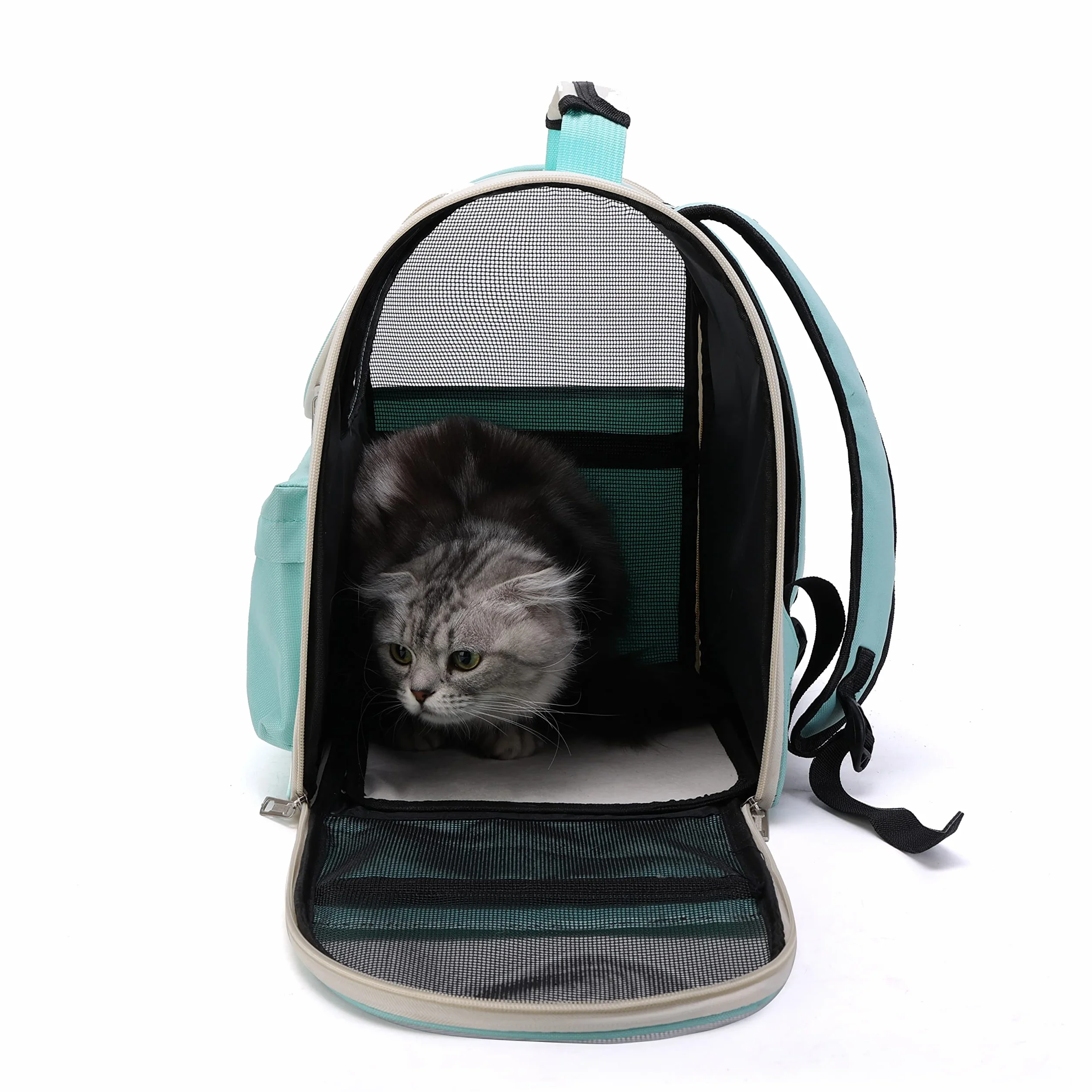 Pet Carino Pieghevole Capsula Zaino per Le Piccole Medie Gatto Cucciolo di Cane, Trasparente E Traspirante Resistente al Calore Carrier per I Viaggi di Campeggio D'escursione (Blu)