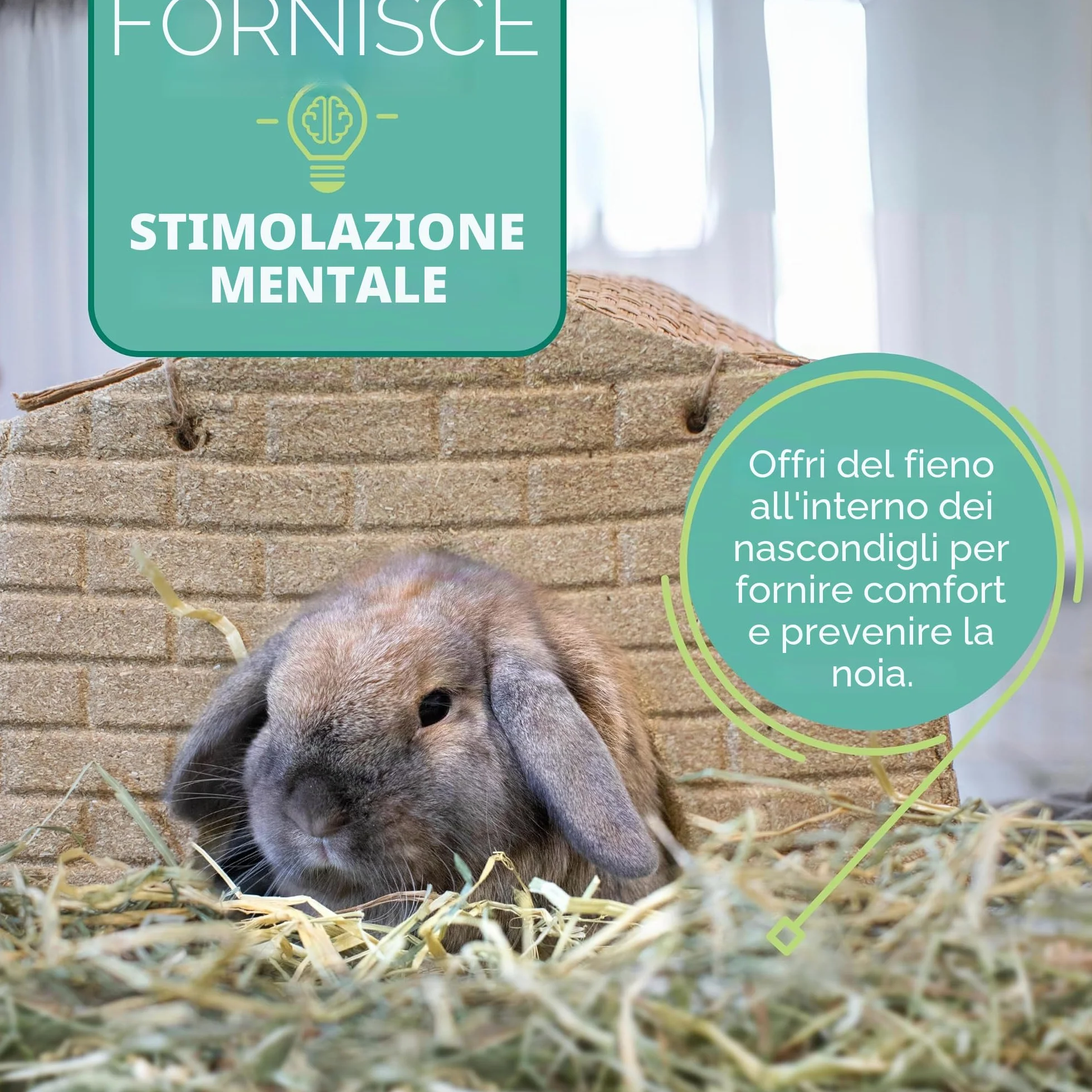 Oxbow Orchard Grass - Fieno per piccoli animali, 1130 gr