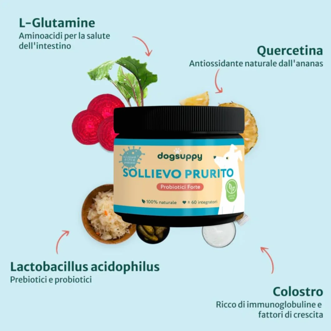 DogSuppy Sollievo Prurito Probiotici Forte per Cani – Ferma Prurito, Grattamento, Leccamento delle Zampe e Mangiare l’Erba, Allevia Allergie e Lieviti, 100% Naturale, Sostiene Intestino e Immunità