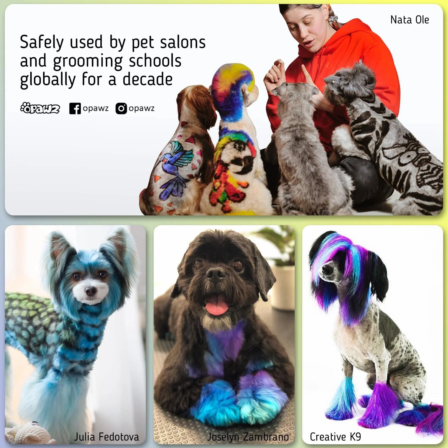 Opawz Permanente Tintura per Cani, Saloni Utilizzata Sicuro per Un Decennio Colorante per Cani, Tintura per Animali Dura Oltre 20 Lavaggi per Cani e Cavalli (Caldo Rosso)