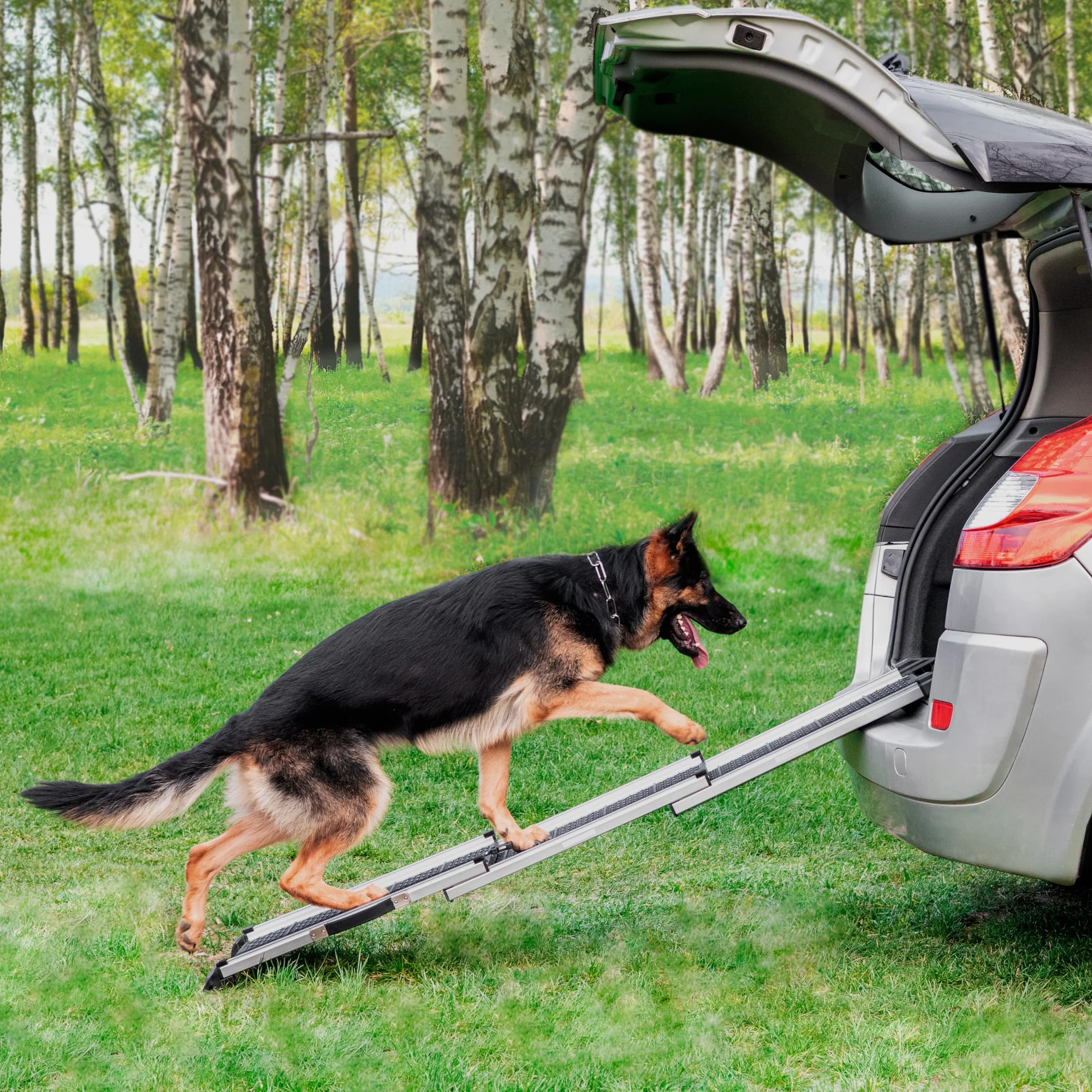 Rampa per Cani per Auto, SUV – Rampe Telescopiche Estensibili per Cani di Grossa Taglia – STABILI – ANTISCIVOLO – Sicurezza Notturna Lati Riflettenti – Capacità 90 kg – Clip di Bloccaggio – Nero