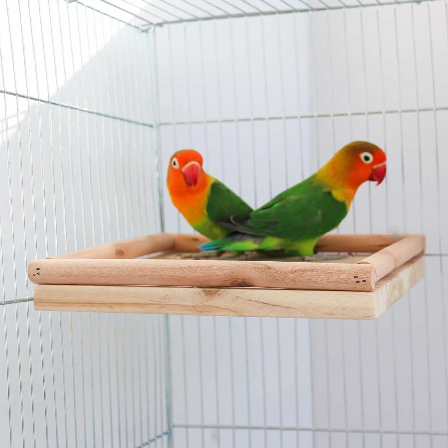 Piattaforma Appollaiatoio per Uccelli in Legno Naturale 20x20 cm per Gabbie Pappagalli Pappagallini Inseparabili