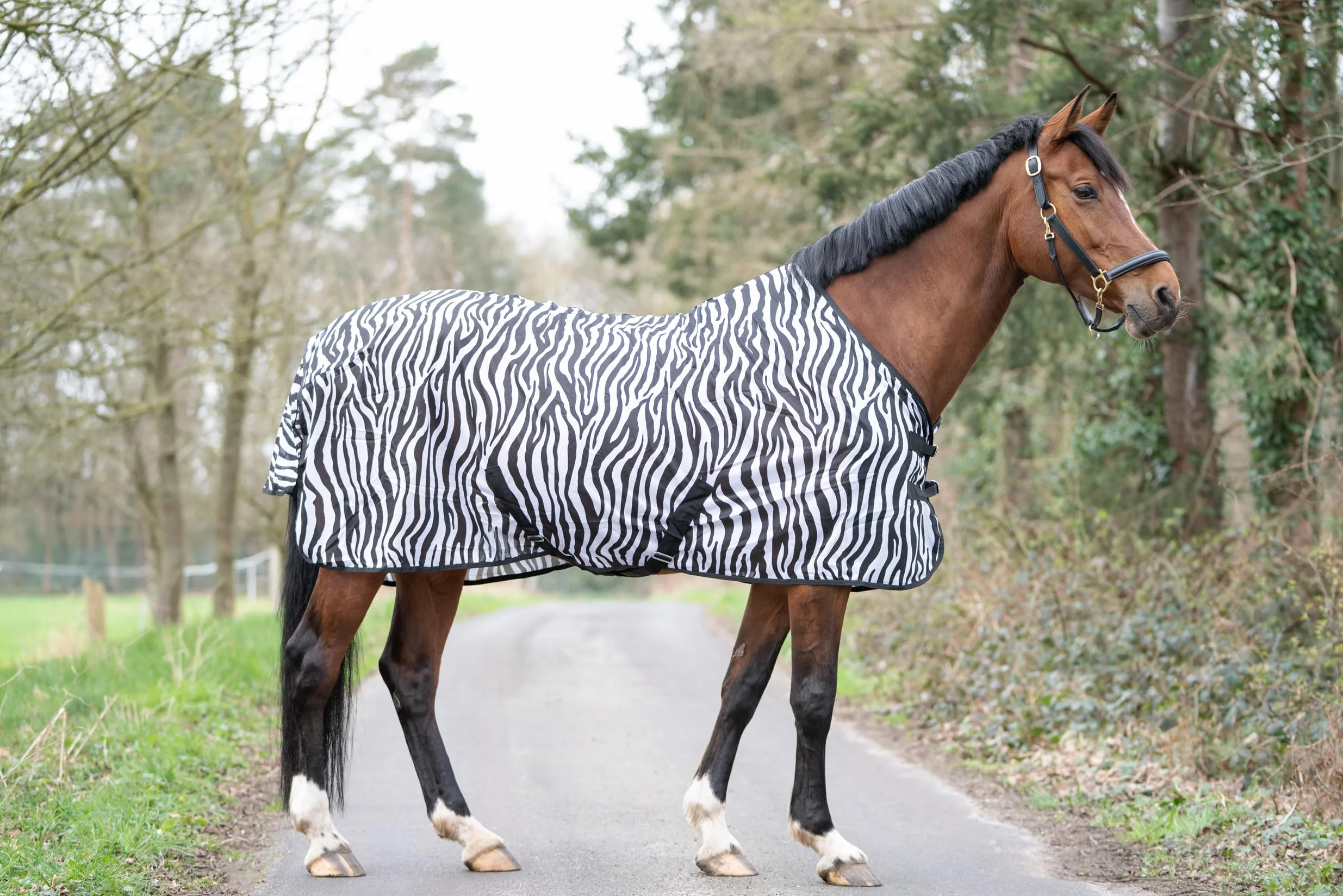 HKM 4668 Zebra - Coperta per cavallo, con cintura incrociata, 145 cm