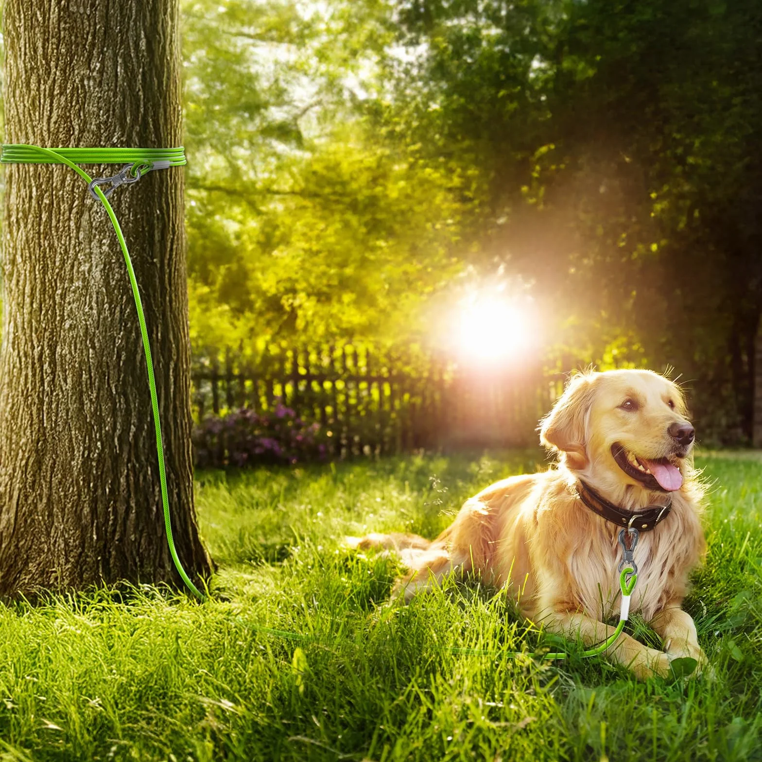 Tresbro Cavo riflettente per cani fino a 113,4 kg, cavo in filo di acciaio con fibbia a doppia fissaggio in acciaio, leggero e resistente, catena per cani per esterni, cortile, campeggio, verde