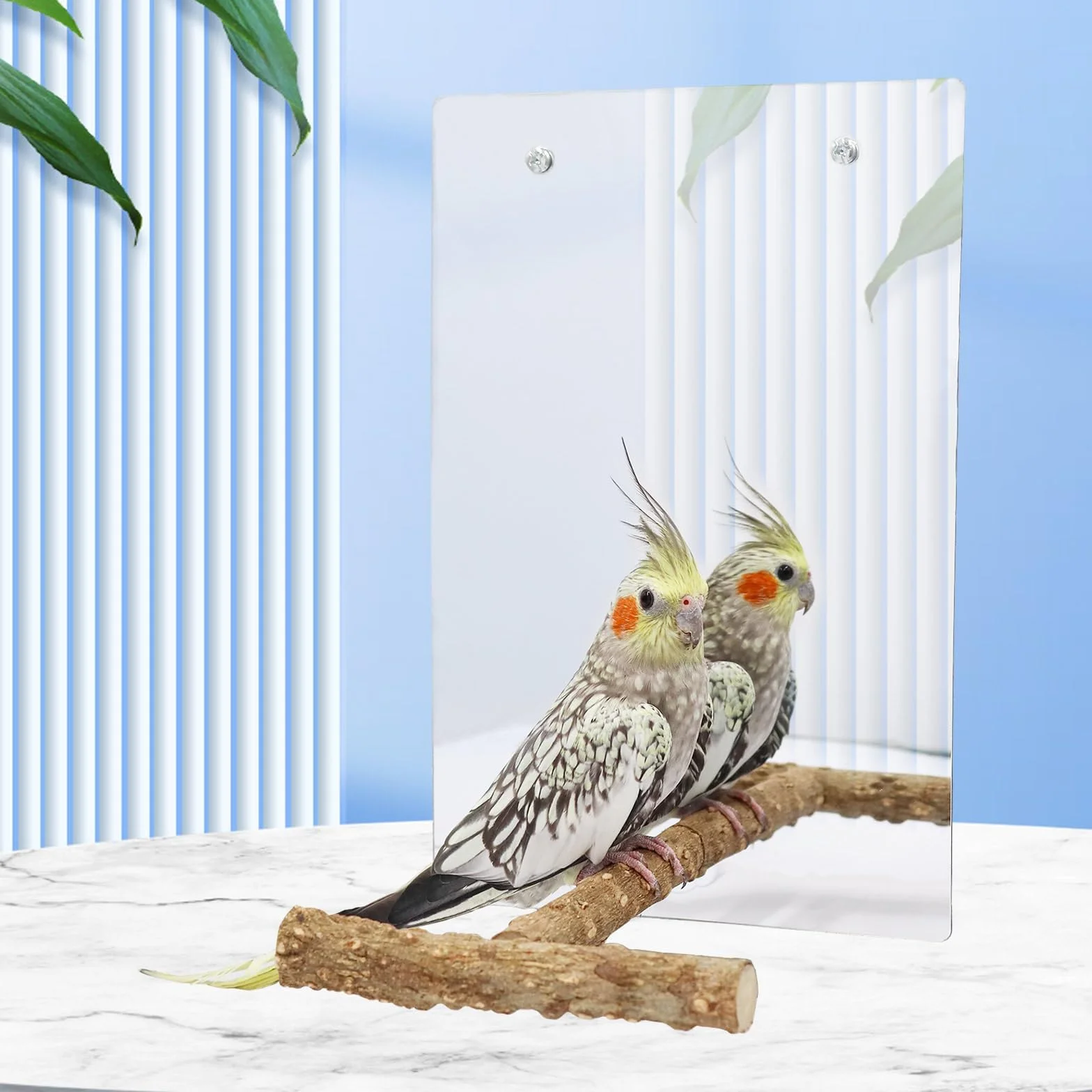 Specchio per Pappagalli con Posatoio e Campanelli Oscillanti 30x20 cm Accessori per Gabbie