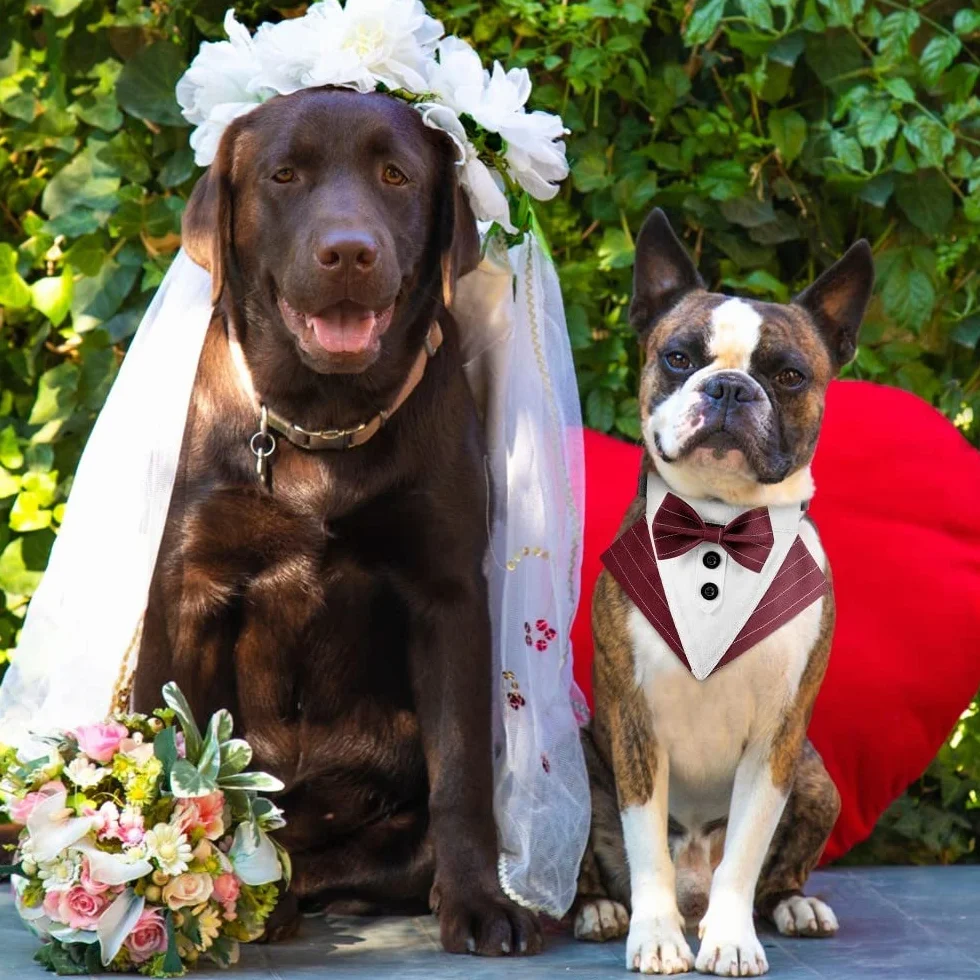 DONGKER Bandana da Smoking per Cani, Collare Regolabile per Cane Gatti Piccola Media Grande Matrimonio