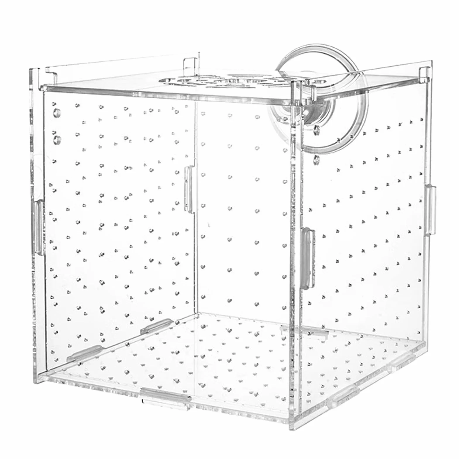 Scatola Di Isolamento Per Acquario - Scatola Per Allevamento In Acrilico, Divisorio Per Vivaio A, Contenitori Per Acclimatazione Di Uova Di Pesce 10x10x10 Cm, Contenitori Per Allevamento Di Ga