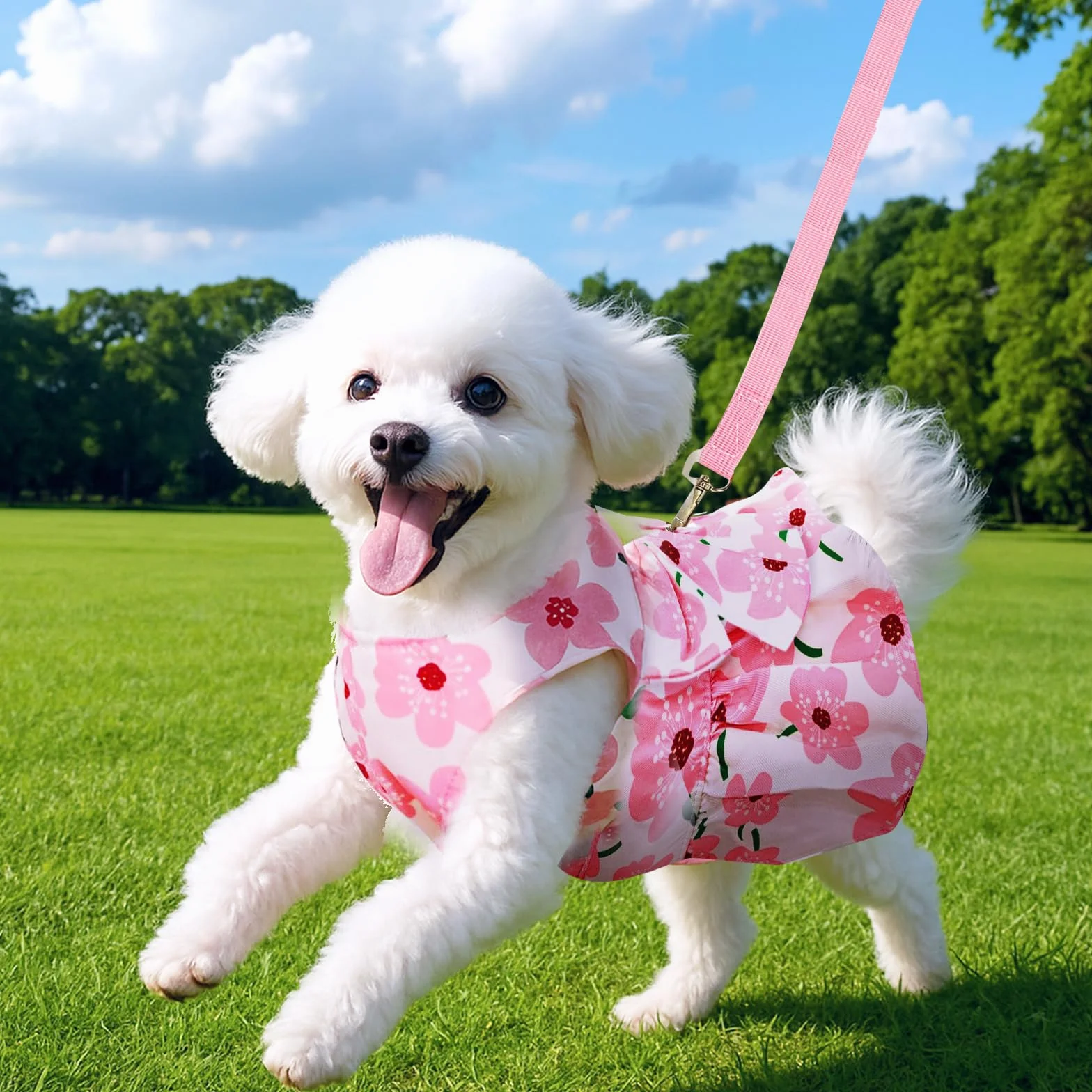 Vestito intero per Cani con motivo floreale a pois gonna plissettata M