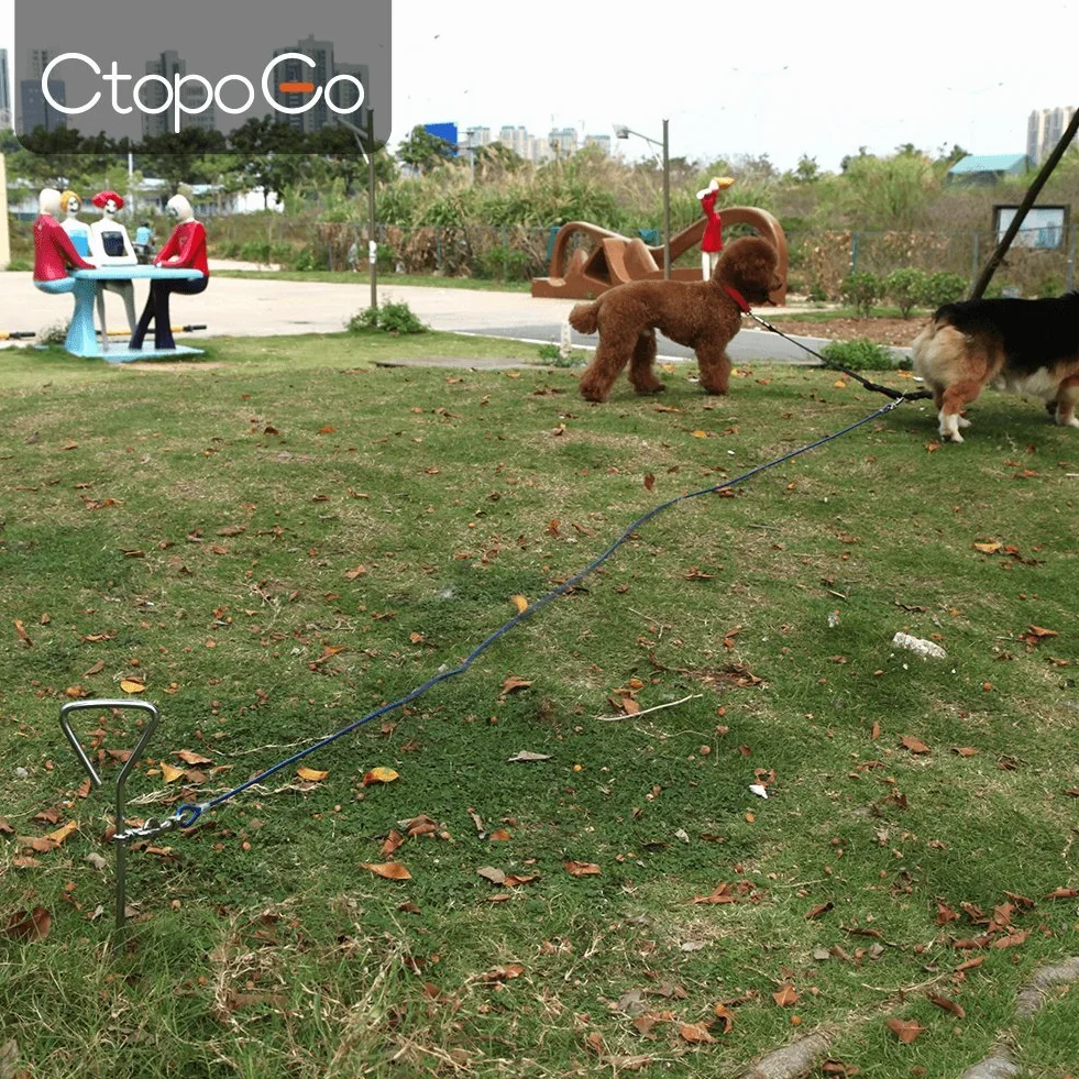 Guinzaglio per Cane A 3 M/5 M/10 M con Picchetto Elicoidale A Terra A 46 Cm - per Esterno Come Cortile E Campeggio - Adatto per Cani Piccoli E Medi (3M, Blu)