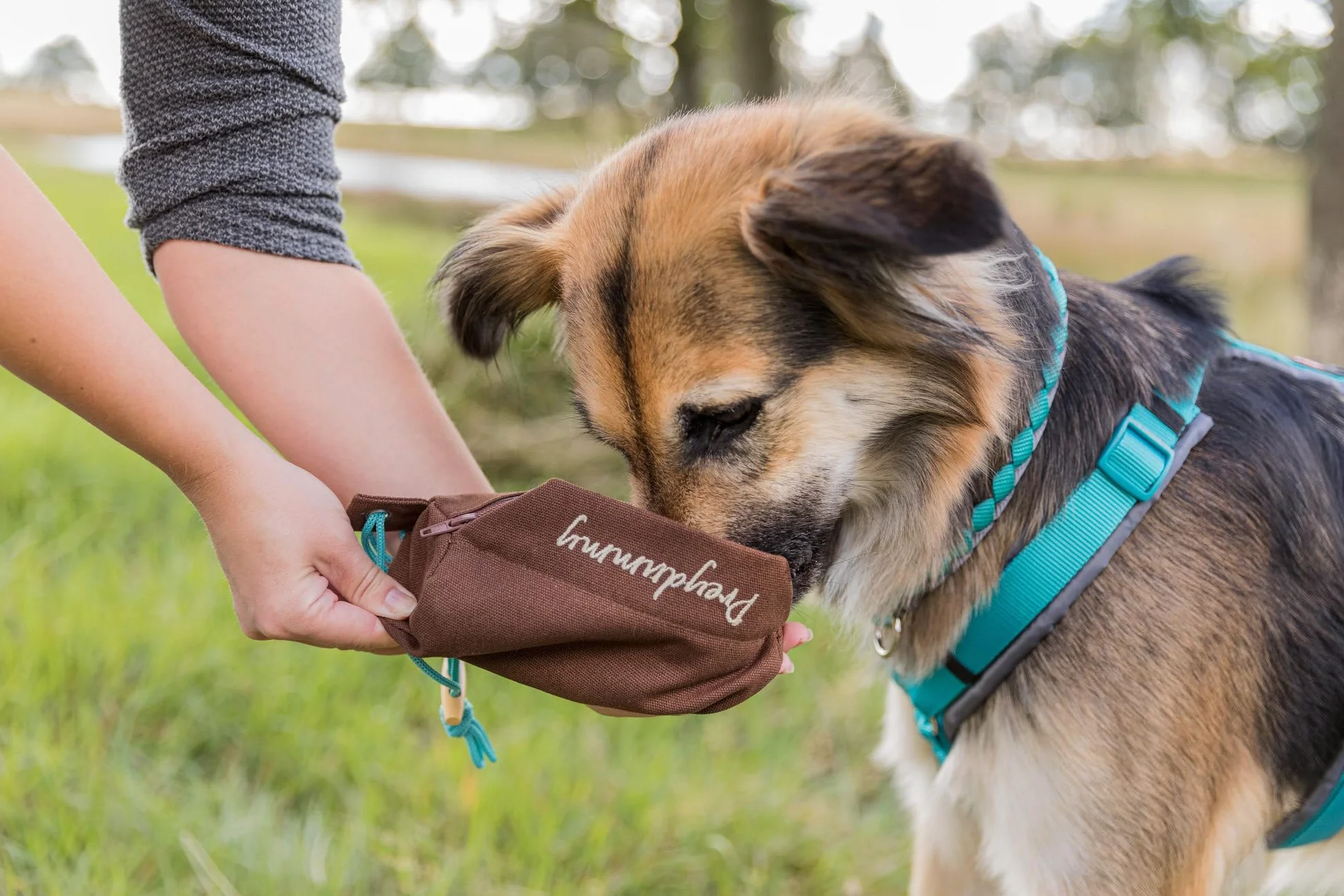 Trixie Preydummy - Gioco per l’addestramento del Cane