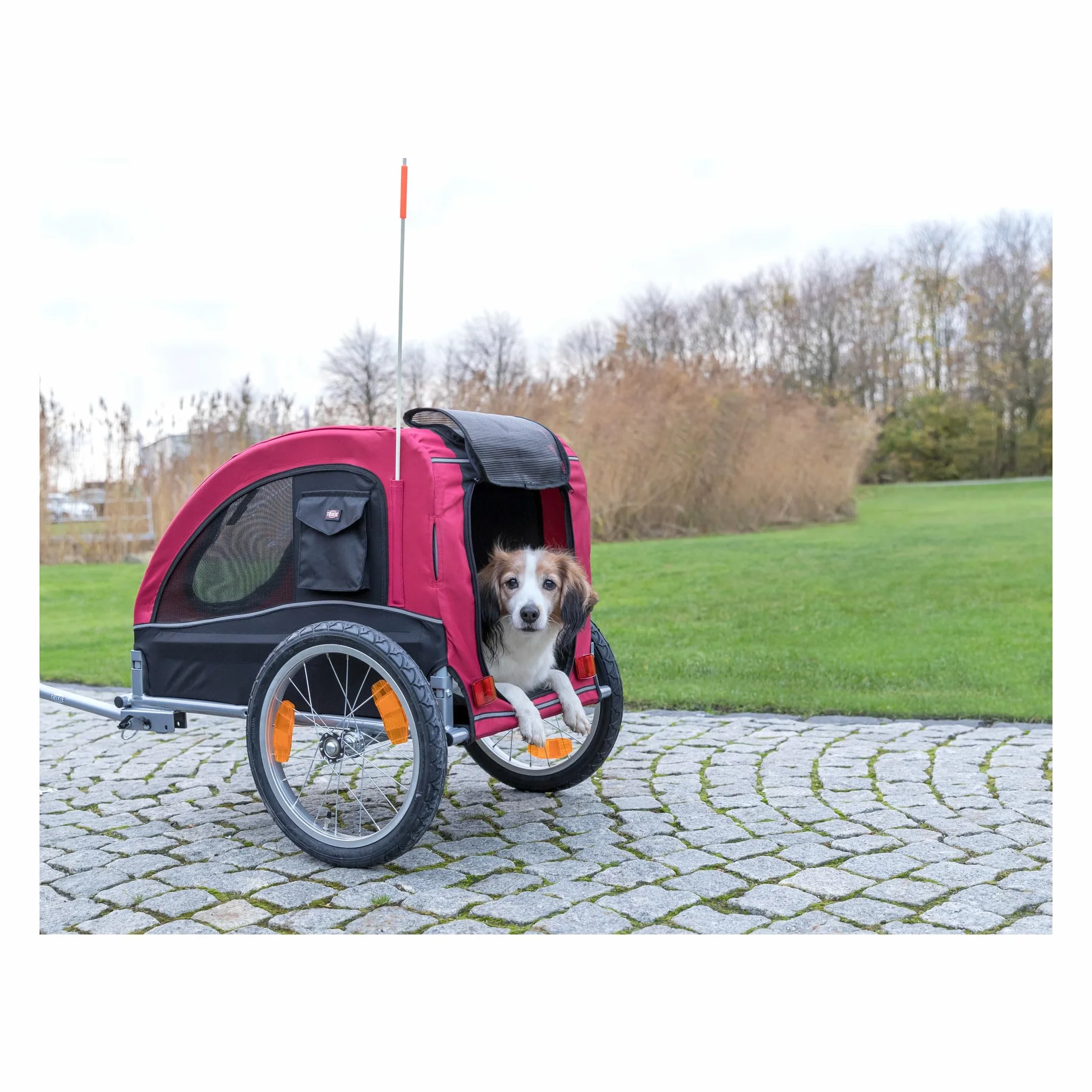 Rimorchio da Bicicletta per Cani
