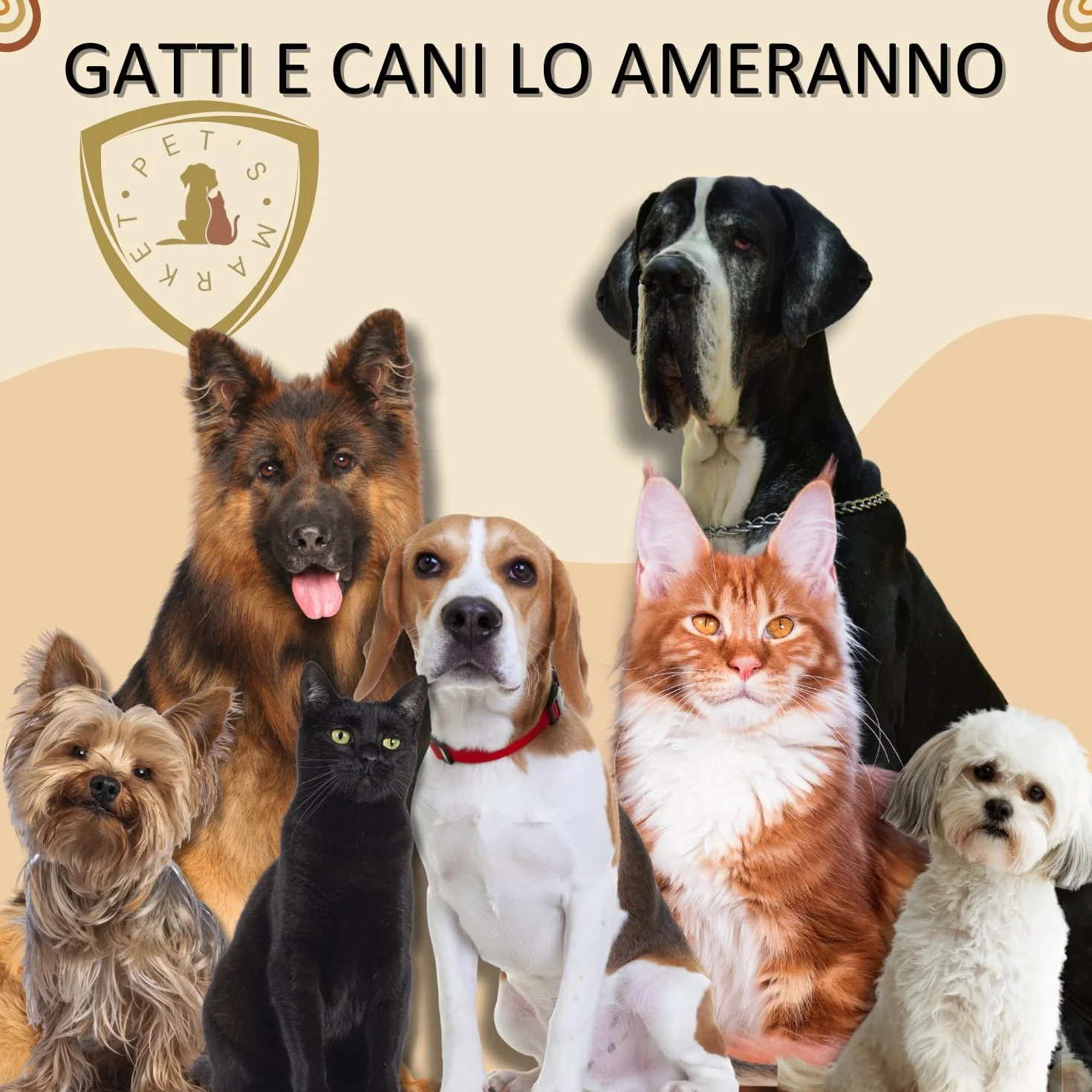 Pet’s Market Trasportino Skudo 3 Gatto Cane Rigido Sacchetti Igienici in Omaggio Accessorio da Viaggio Animali Porta in Ferro Fessure Conforme agli Standard Aerei (3 (60X40X39h))