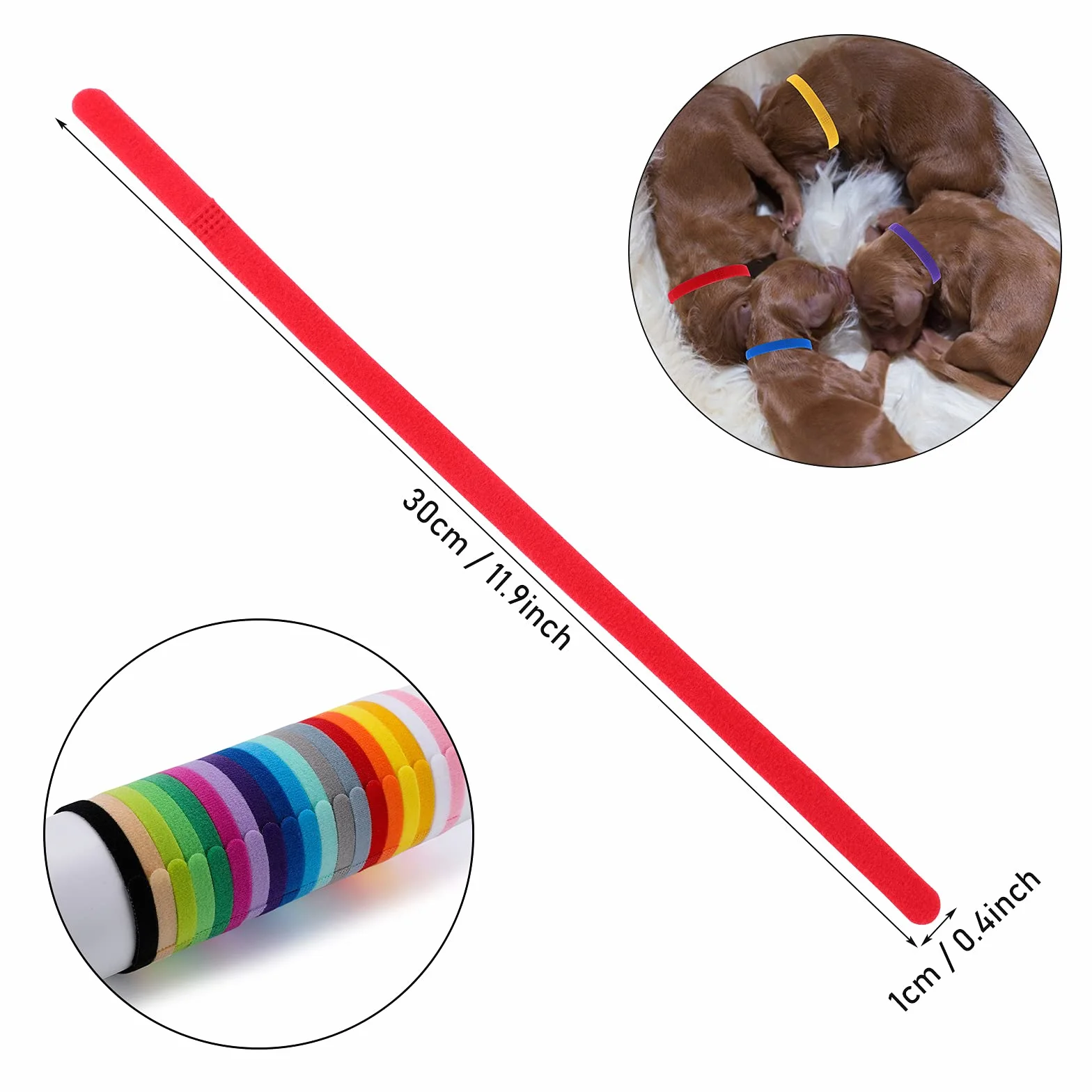 Molain 20 Pezzi Collari per Cuccioli di Piccola Taglia, Fasce Identificative per Cani, Collari per Neonati (30 cm)