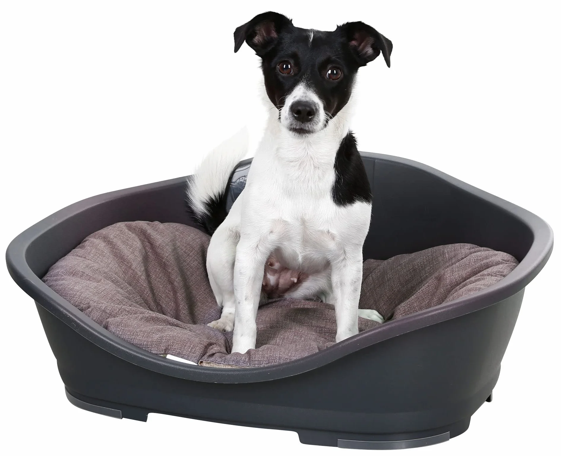 Kerbl Pet Cuscino Loneta, marrone/grigio, 58 x 43 cm
