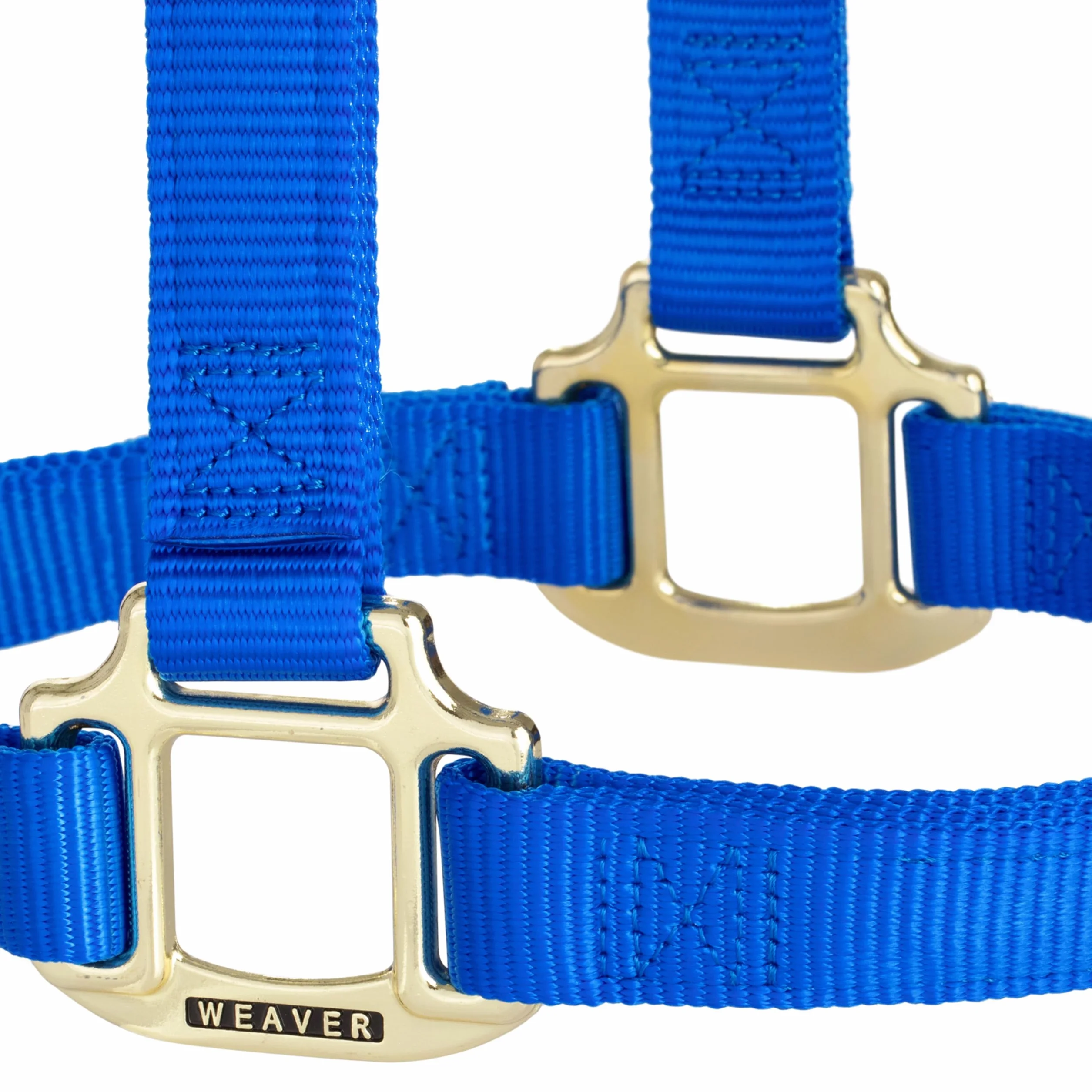Weaver Leather Original - Cavezza non regolabile, per cavallo tra 1 e 2 anni, M, blu