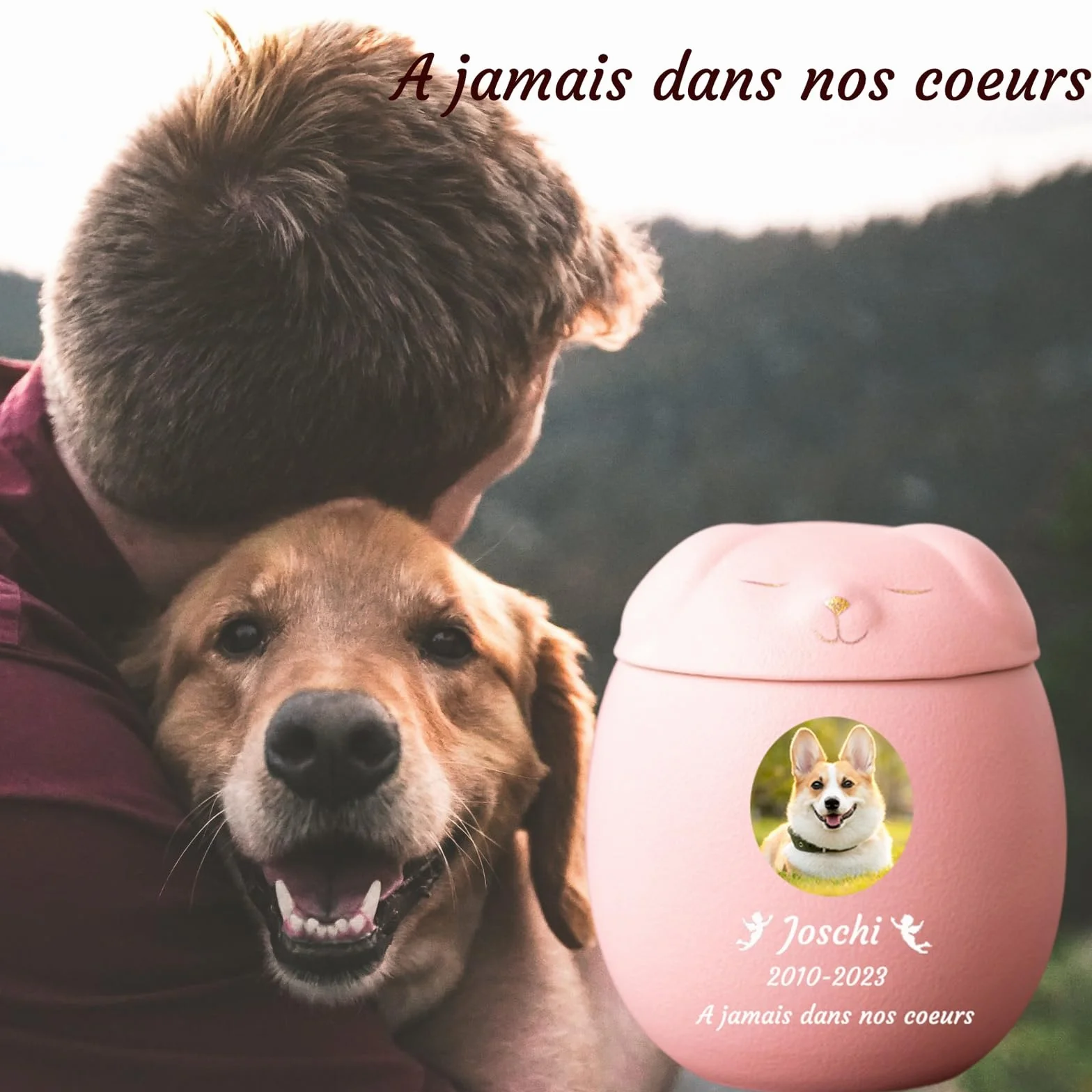 Urne per Cani per Ceneri Personalizzate - Urne per Cani Personalizzate - Urne in Ceramica per la cremazione di Animali Domestici Urne Commemorative per Cani,Rosa,Big