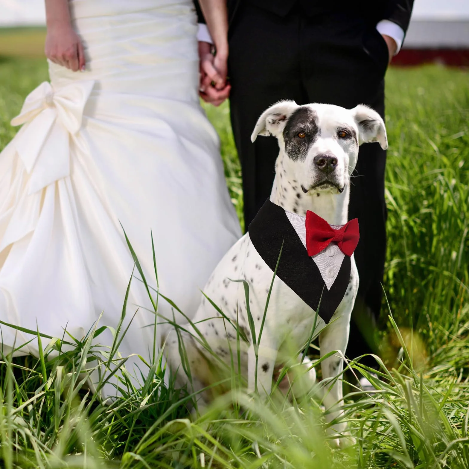 Papillon Cane Matrimonio Bandana Regolabile Natale Personalizzato Smoking Sciarpe Cane Natalizia Cravatta Accessori Feste Compleanno Cani Nero Rosso Fiocchetti L