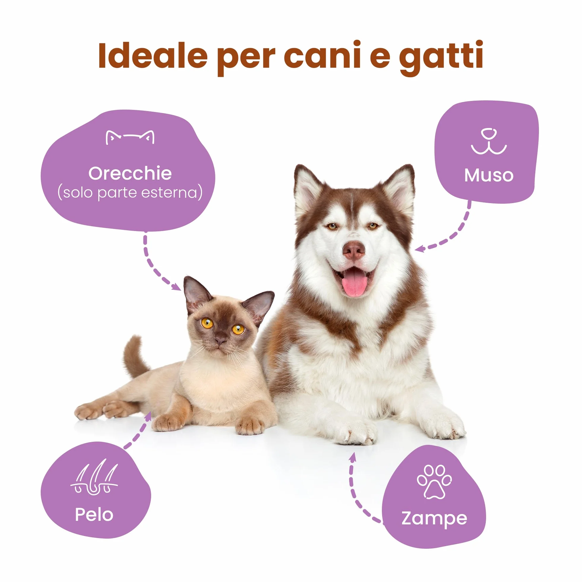 CAMON Salviette Detergenti per Cani e Gatti 30x17 cm 100 Pezzi Fragranza Latte e Miele Senza Alcool né Parabeni Made in Italy