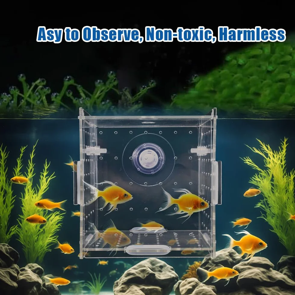10 × 10 × 10cm Allevamento per Acquario con Ventosa, Mini Terrario per Insetti, Piccola Acrilico Scatola di Allevamento, Trasparente Sala Parto Acquario, per L'isolamento, la Schiusa, la Piscicoltura