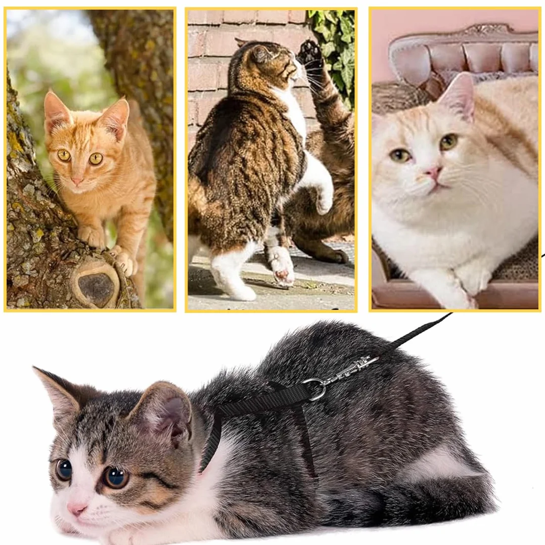 Imbracature Per Gatti 1 Pezzo Nero 120Cm Antifuga Regolabile Leggero Morbido Per Viaggi Passeggiate