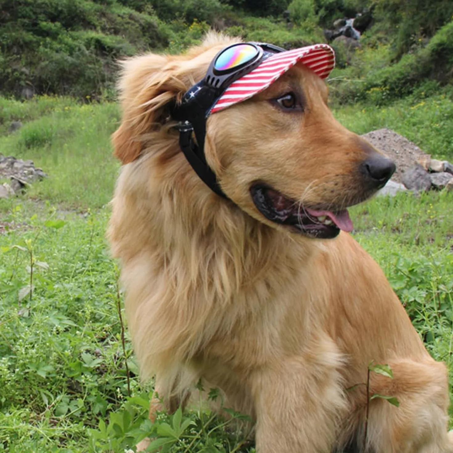 Occhiali da Sole per Cani Pieghevoli con Cinturini Regolabili, Accessori Domestici Protettivi