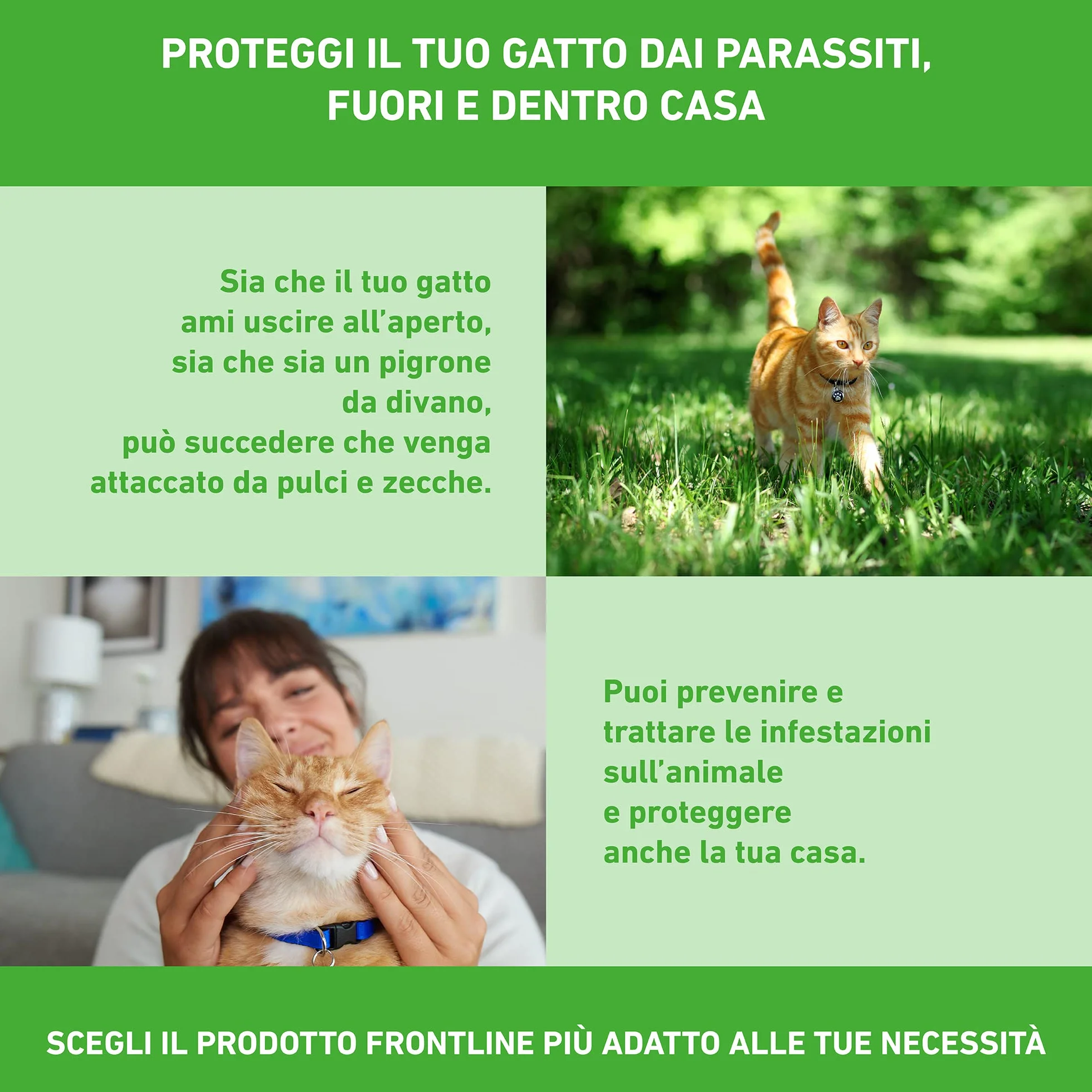 FRONTLINE Combo 6 Pipette Antiparassitario per Gatti Lunga Durata Protegge da Pulci Zecche Uova Larve 0.5 ml