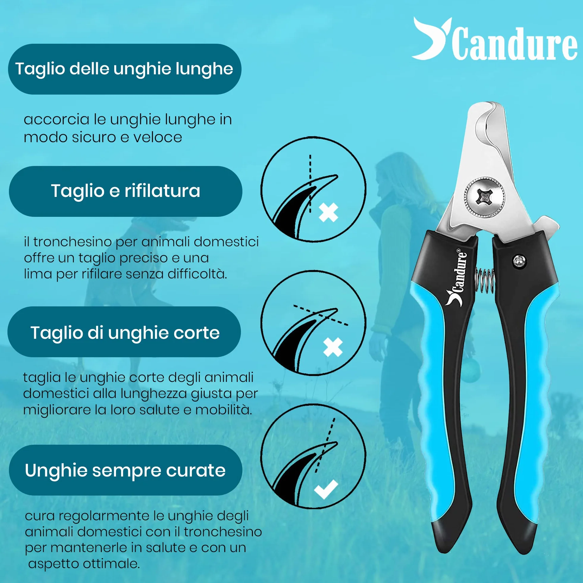CANDURE Tagliaunghie Cane e Gatto con Guardia per Protezione Cani - Acciaio Inossidabile Tagliaunghie Gatto Professionale per Veterinaria e Uso Personale (Blu, Grande a Medio)