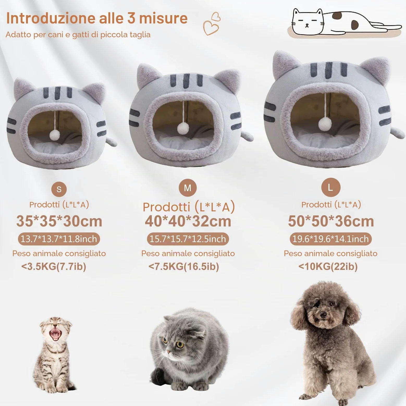 PETCUTE Cuccia per Gatti e Cani con Cuscino Rimovibile Lavabile, Fondo Antiscivolo, Morbida Nicchia per Conigli/Cuccioli
