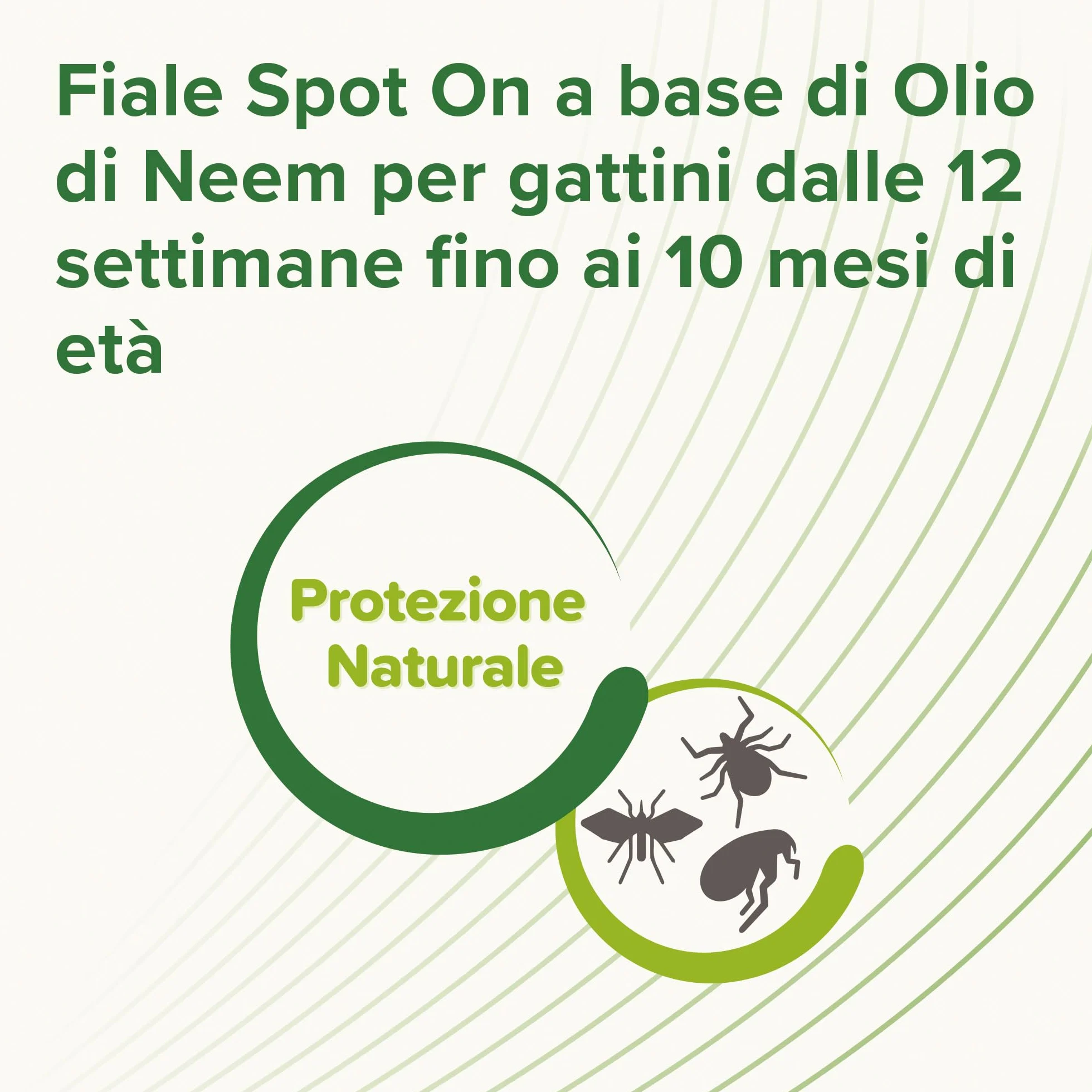 Beaphar Protezione Naturale Spot-On Scudo per Gattino, Olio di Neem e Piretro Vegetale, 3 Pipette 2 ml