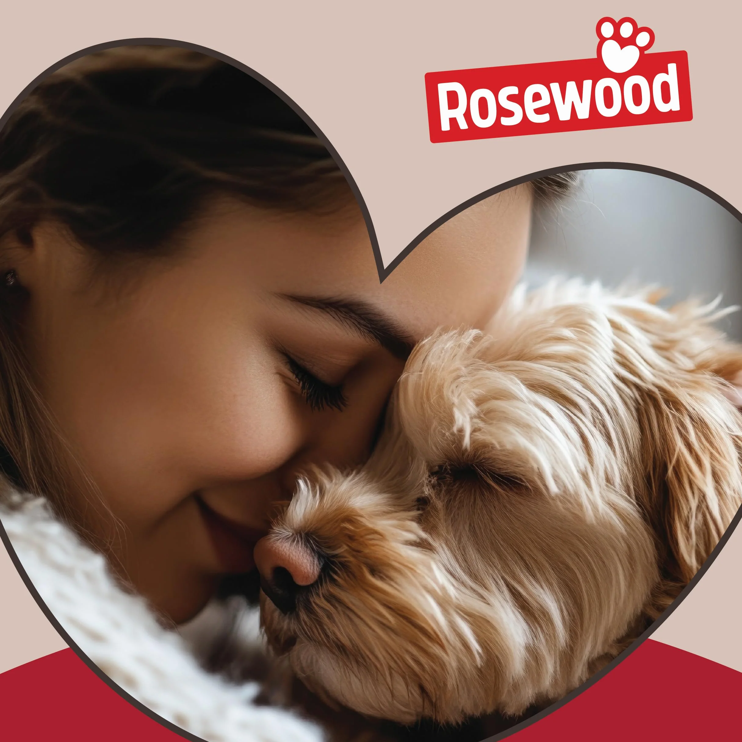 Rosewood, 40 Winks, Cuccia a Ciambella, in Peluche