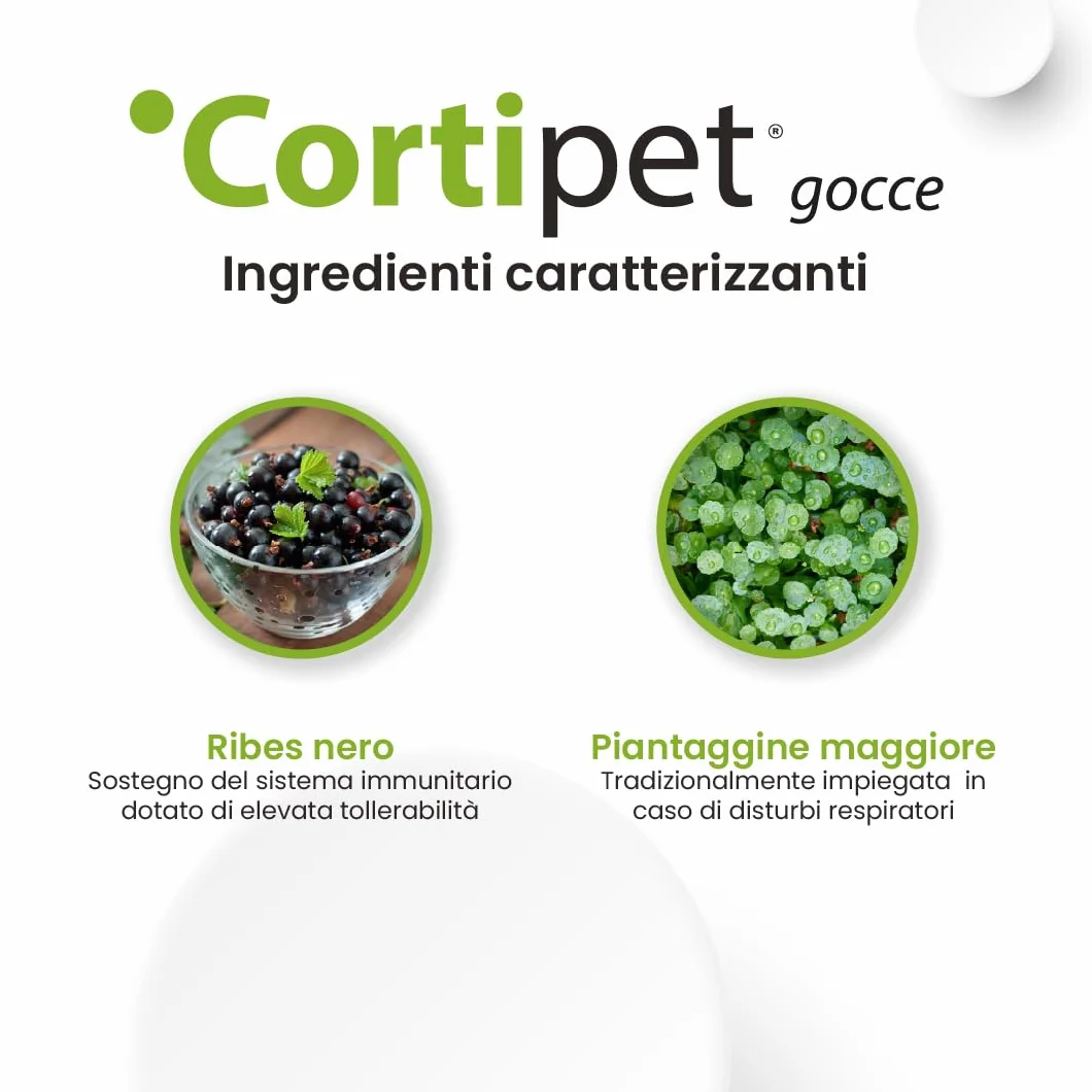 Aurora Biofarma Cortipet Gocce 50ml Mangime Complementare per Cani e Gatti Sistema Immunitario