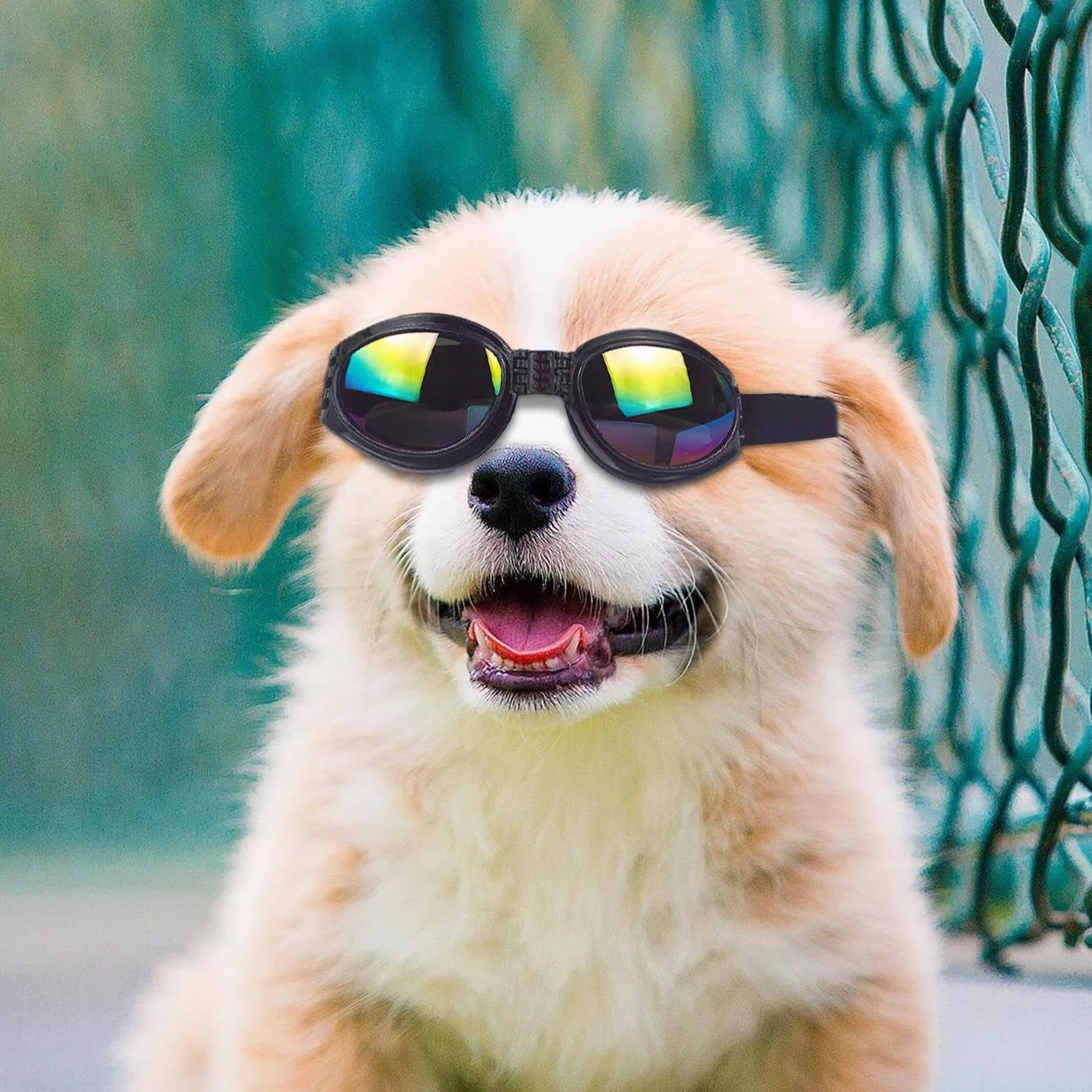 Occhiali da sole per cani - Occhiali per animali domestici da 4,72 pollici Protezione UV Cinturino regolabile | Dog Eye Wear - Ochiali per animali domestici elastici e comodi per l'uso in viaggio con