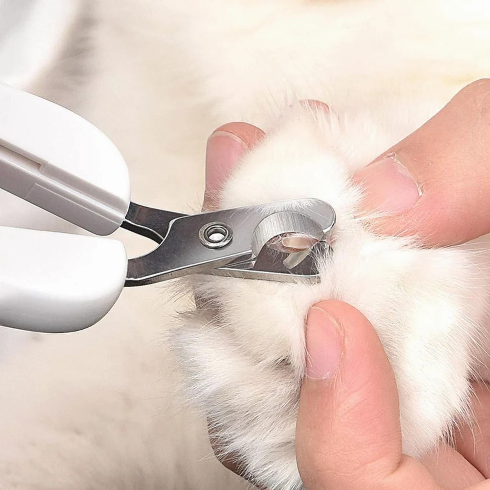 Tagliaunghie Per Cani Tagliaunghie Per Gatti Blu Tagliaunghie Professionali Per Gatti In Acciaio Inossidabile Con Serratura Strumento Per Toelettatura Per Animali Domestici 2Pz