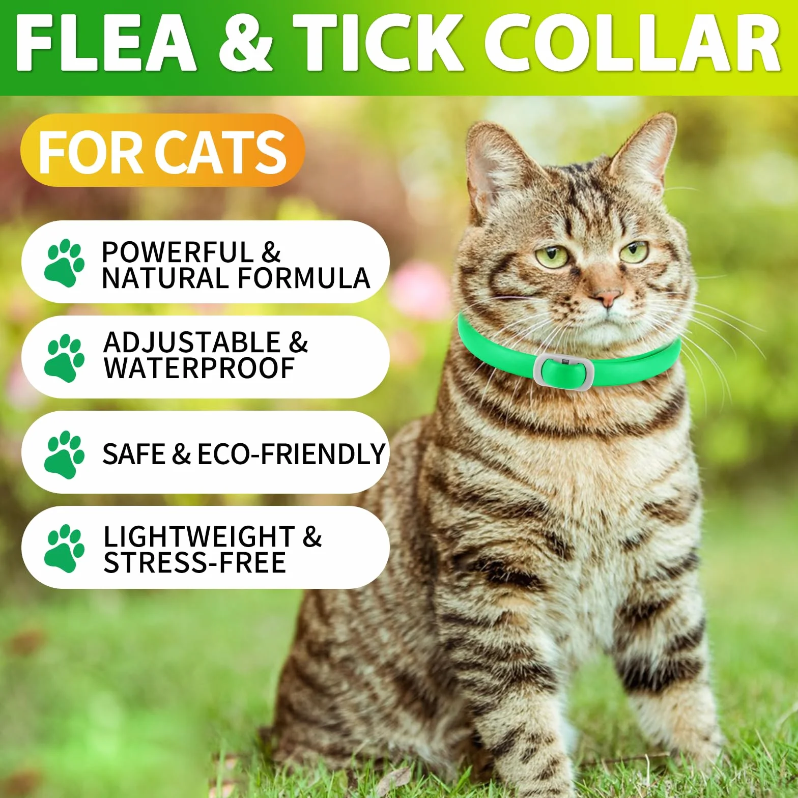 Collare Di Zecca Per Gatti, Collare Di 4Pack Per Gatti Con, Sicuro Ed Efficace Per Il Controllo Delle Pulci E Zecche, Design Impermeabile E Rimovibile, Protezione Di 24 Mesi Per Tutti I Gatti
