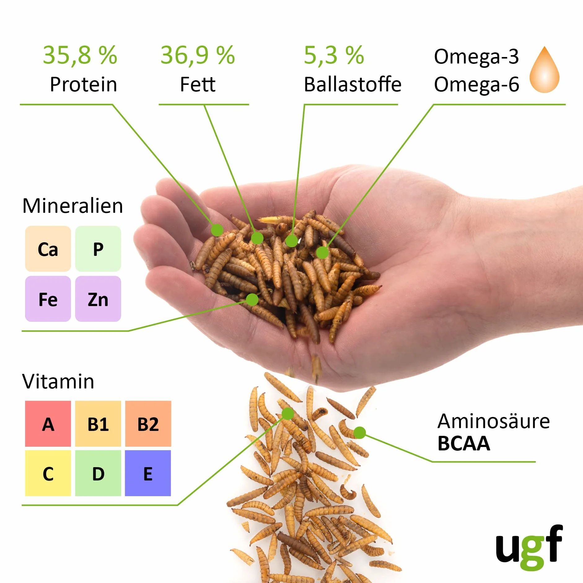 UFG - Larve di mosca soldato essiccate 75 g - Cibo per uccelli selvatici e ricci