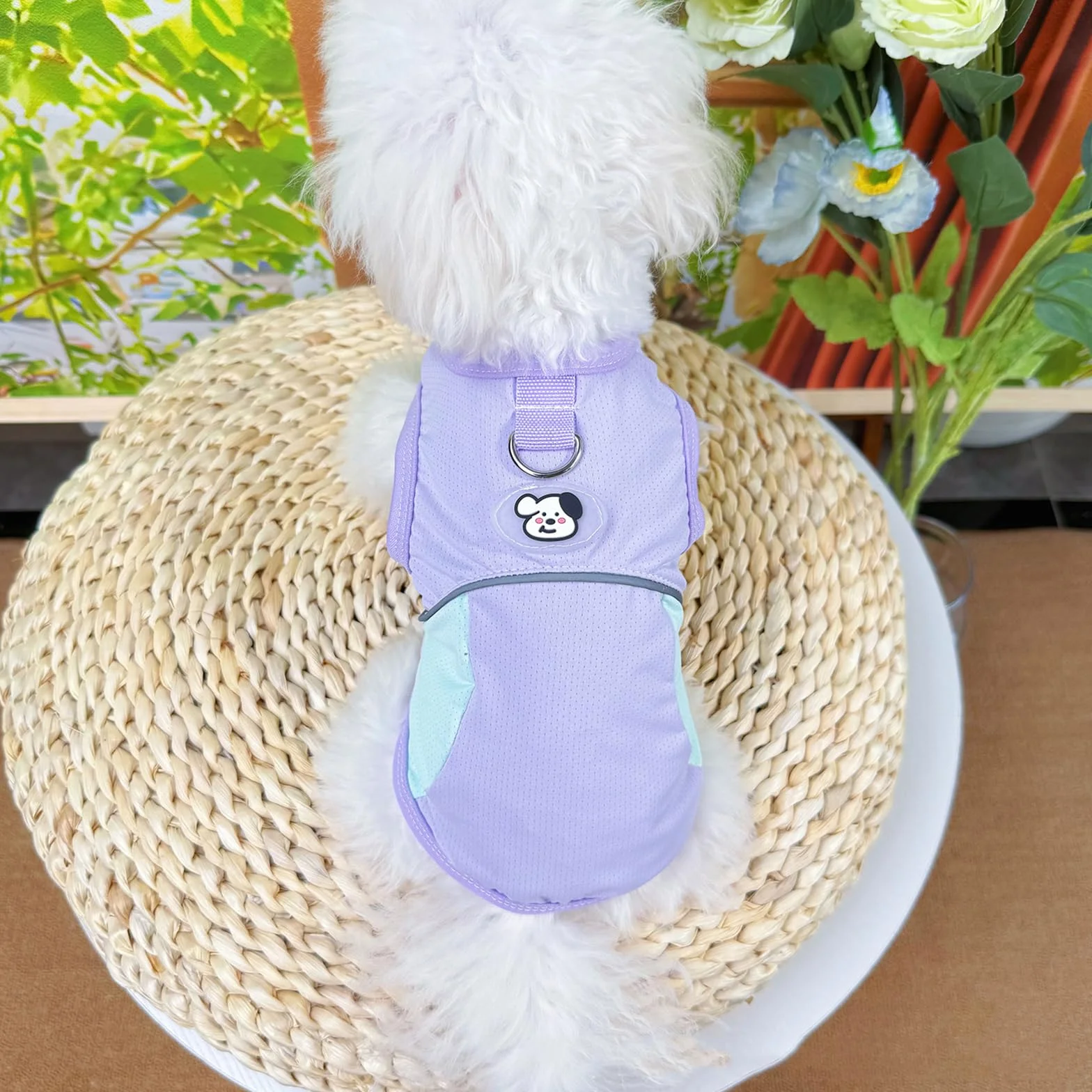 Giubbotto di Raffreddamento per Cani Taglia Media Piccola, Gilet Rinfrescante M Viola Blu, Protezione Solare per Animali Domestici
