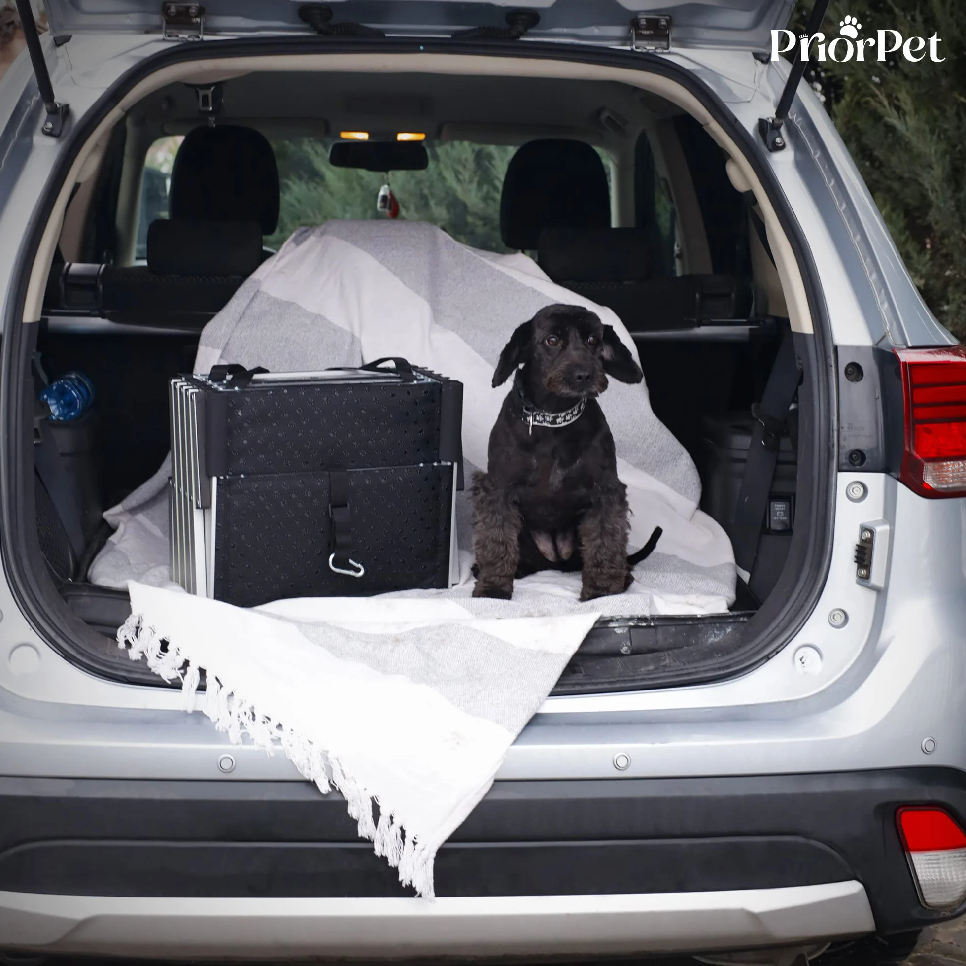 Rampa per Cani PRIORPET Pieghevole Fino a 77 KG Antiscivolo Riflettente 5 Gradini
