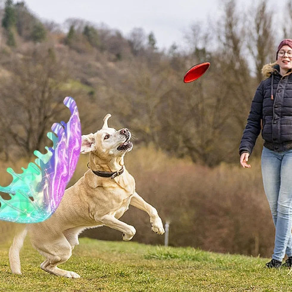 Ali di farfalla a LED per cani, ali incandescenti con luci a LED e musica, elfo con musica per bambini, ali luminose