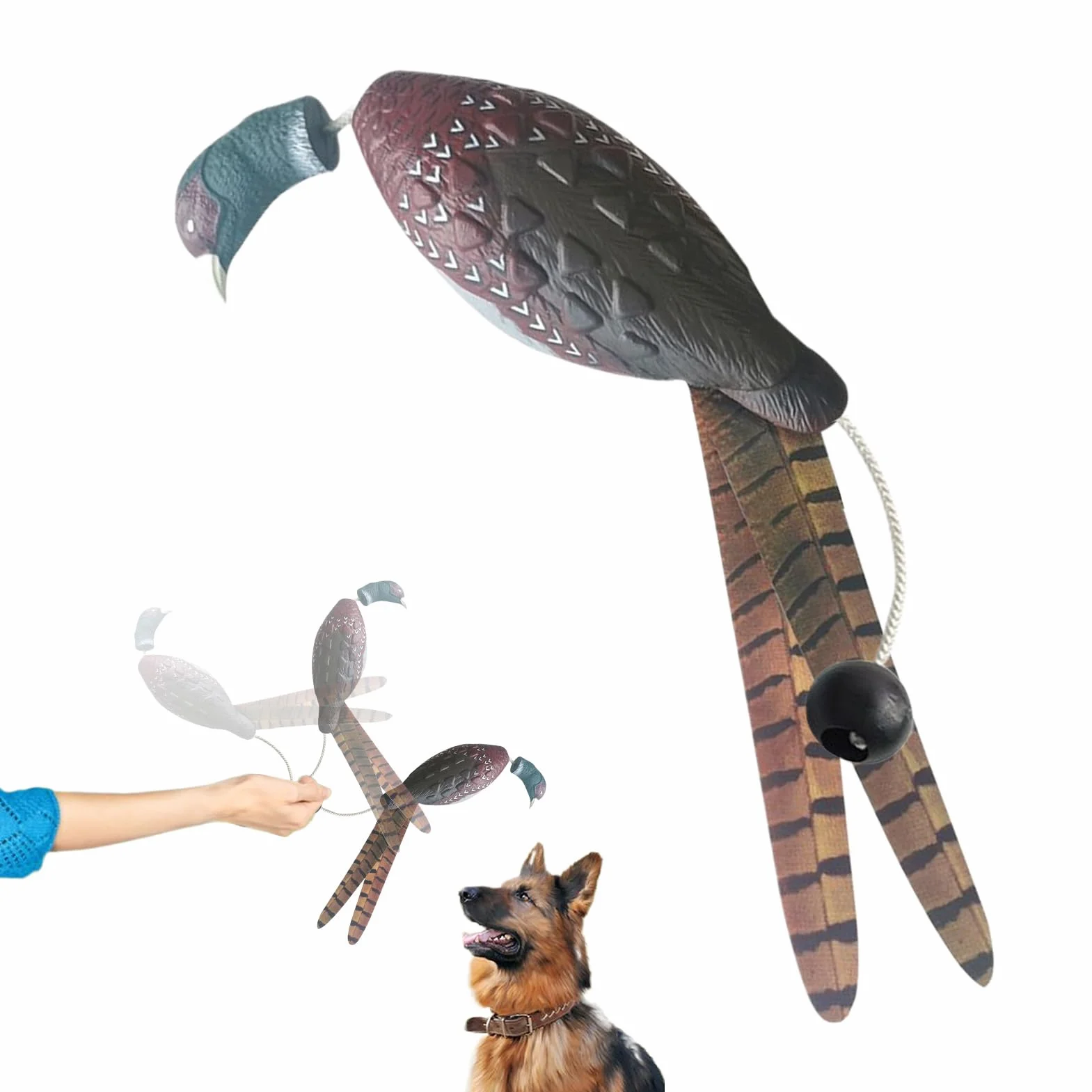Manichino da Riporto per Cani da Cortile - Simulazione realistica del Fagiano, Robusto, Giocattolo didattico, dimensionalmente Stabile, Pratico, Modellato per l'addestramento de