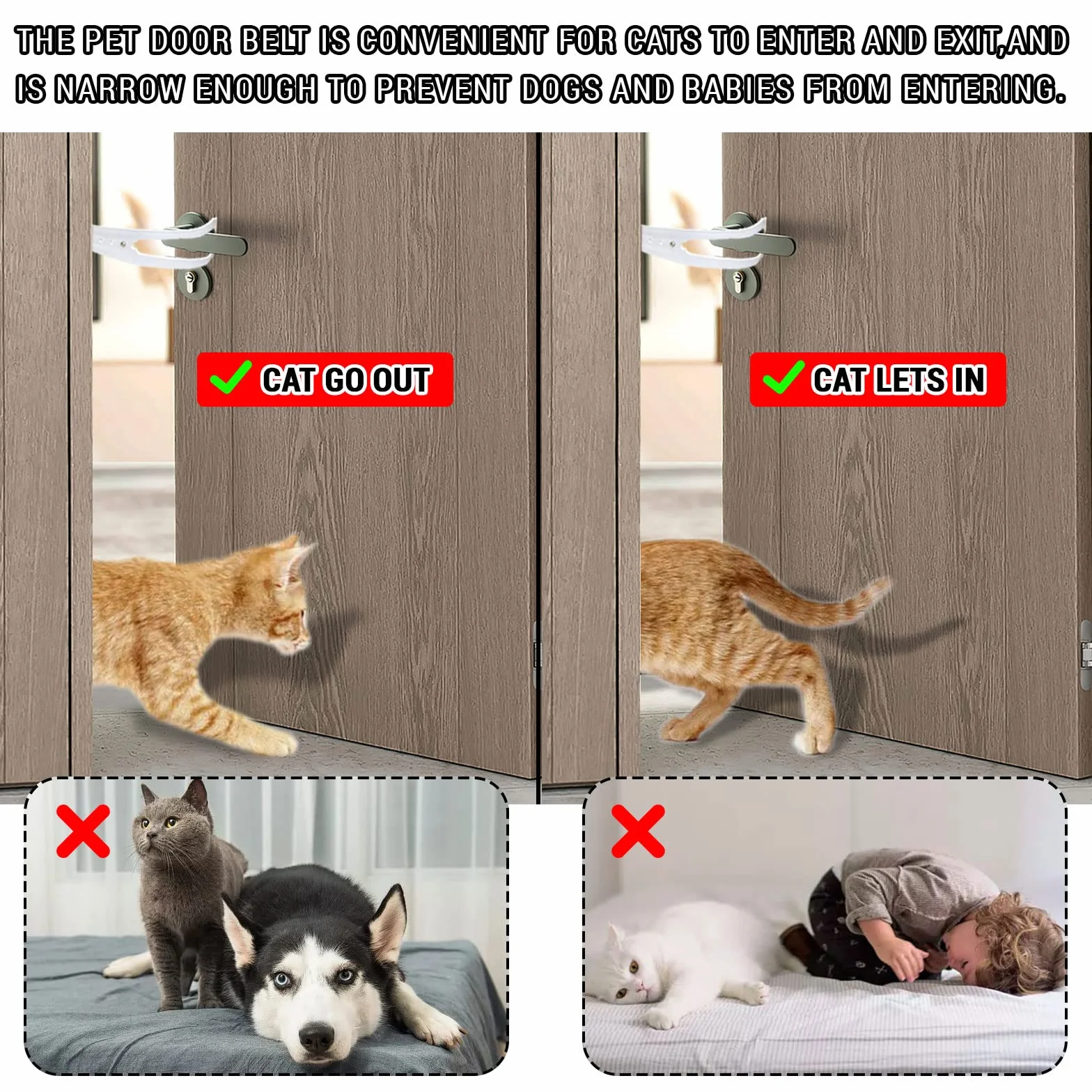 Cinghia per porta regolabile Door Latch cat, impedisce chiusura porta, lascia entrare gatti, tiene fuori cani