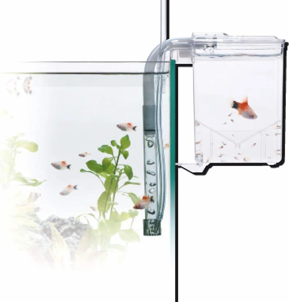 Amtra Esterba Hang On - Sala Parto Acquario, Vaschetta esterna da isolamento, Per Gestazione., Schiusa delle uova, 1,5 L/ 16X13X16 CM