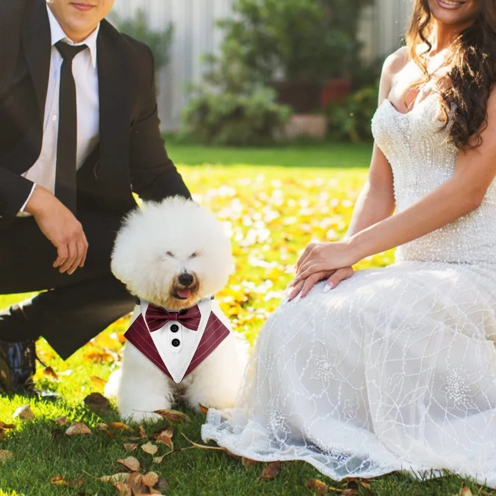 DONGKER Bandana da Smoking per Cani, Collare Regolabile per Cane Gatti Piccola Media Grande Matrimonio