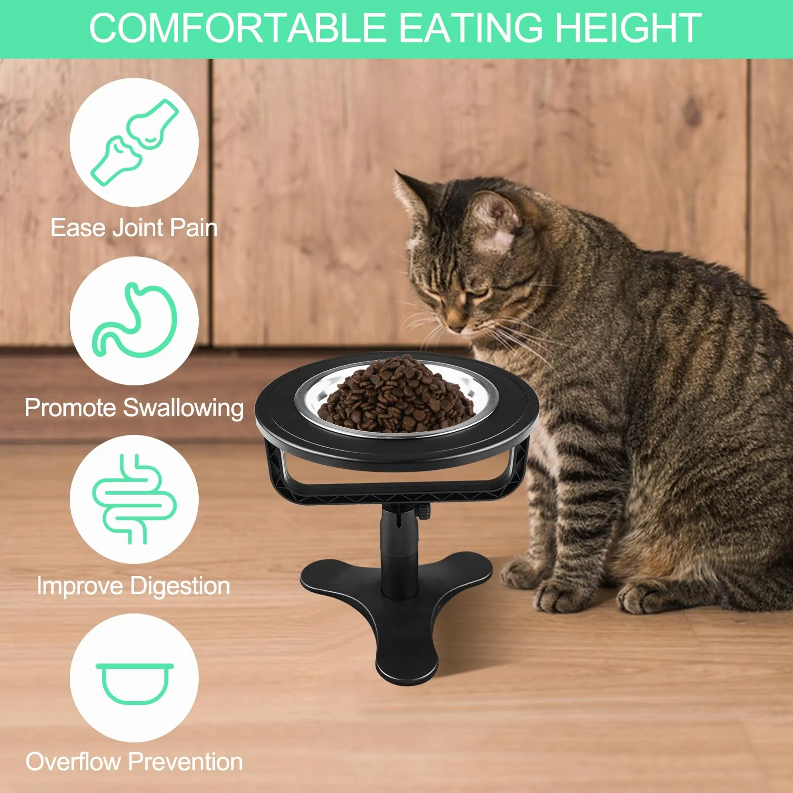 MeoZynxadril Ciotola Gatto, Ciotole per Gatti Rialzate, Inclinata di 15° Ciotola Cane, Antiscivolo Ciotole Gatto, Rialzo Ciotole Cane, per Animale Domestico, Cuccioli, Cani di Piccola Taglia